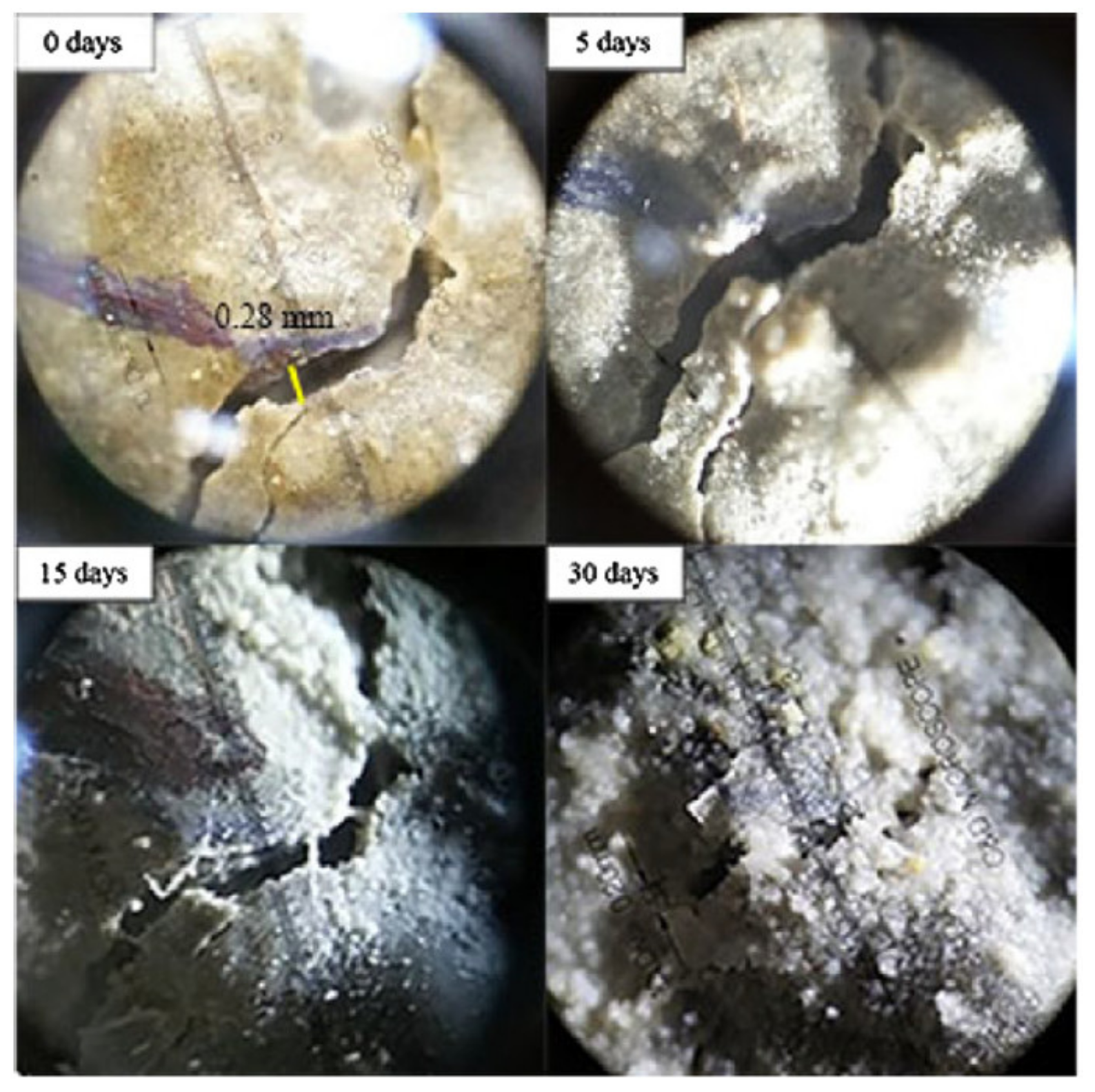 Processes 09 02206 g008 550