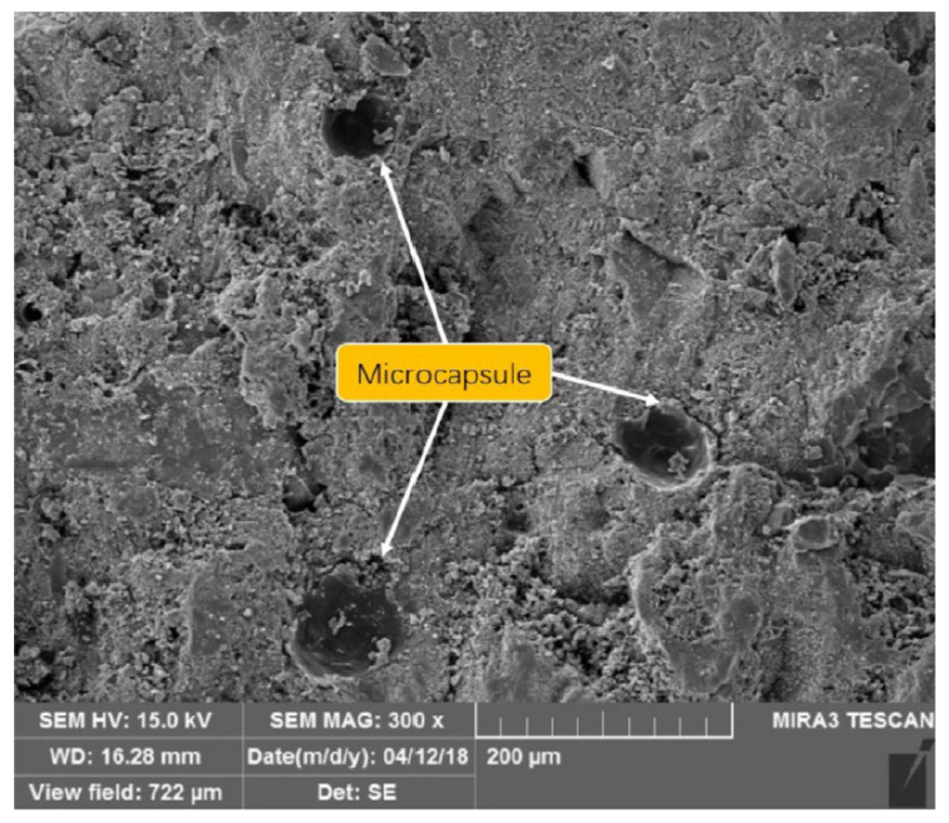 Processes 09 02206 g009 550