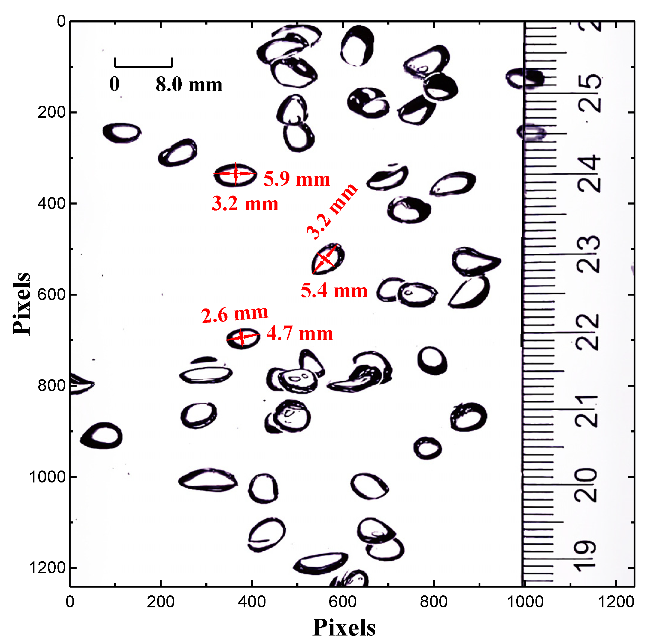 Processes 09 02220 g003