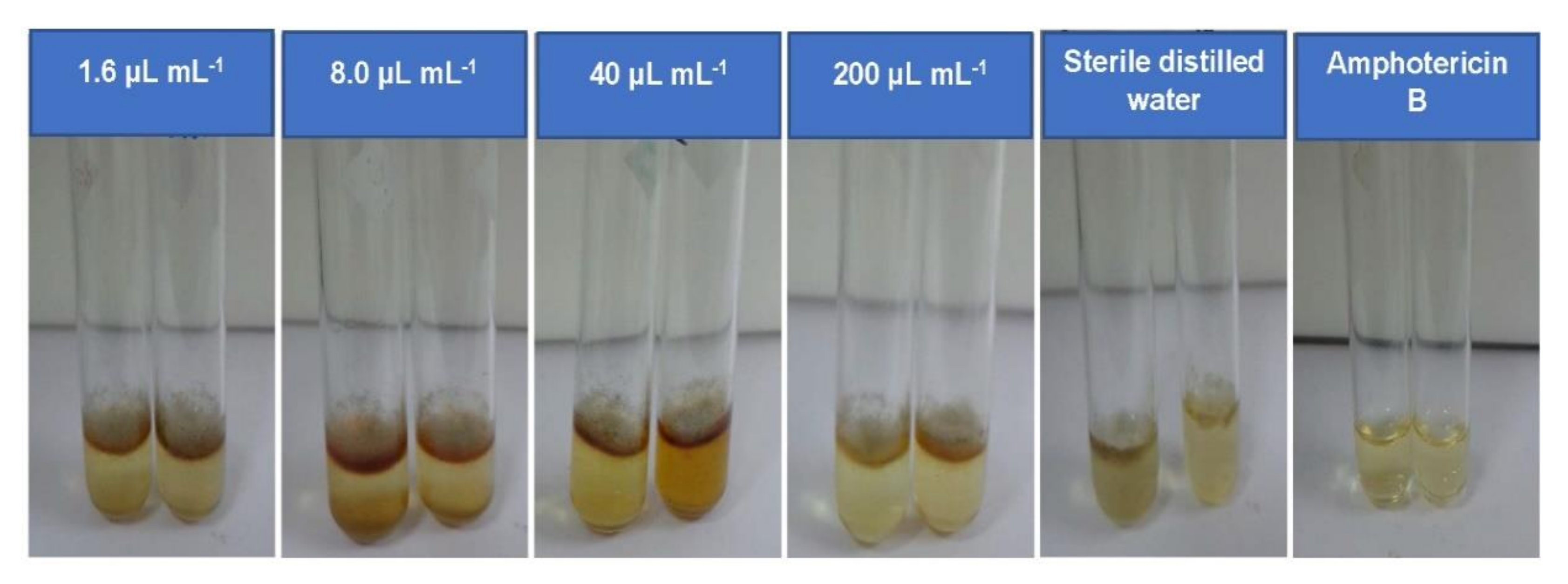 Processes 09 02231 g001 Processes 09 02231 g001