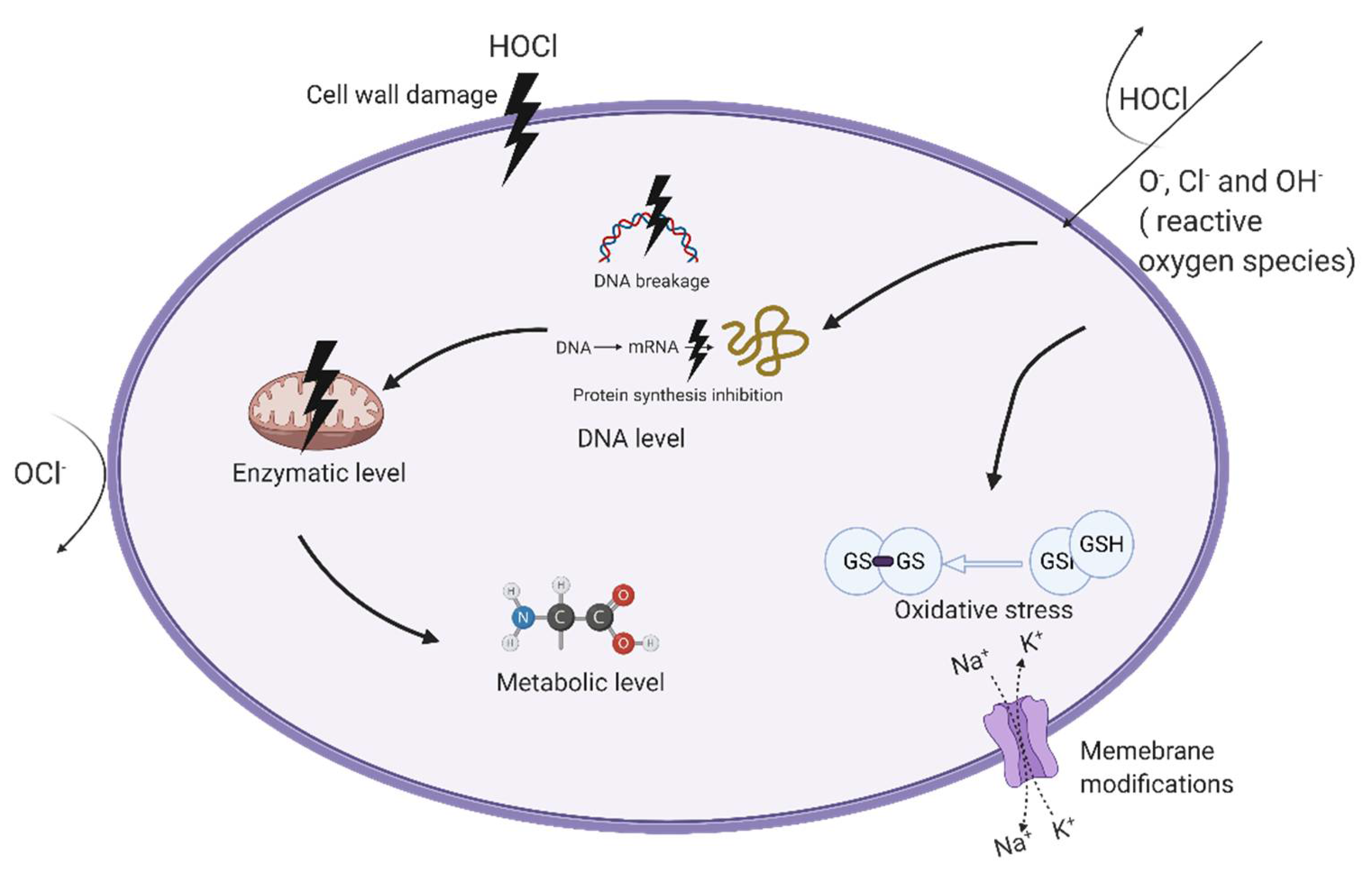 Processes 09 02240 g002 Processes 09 02240 g002