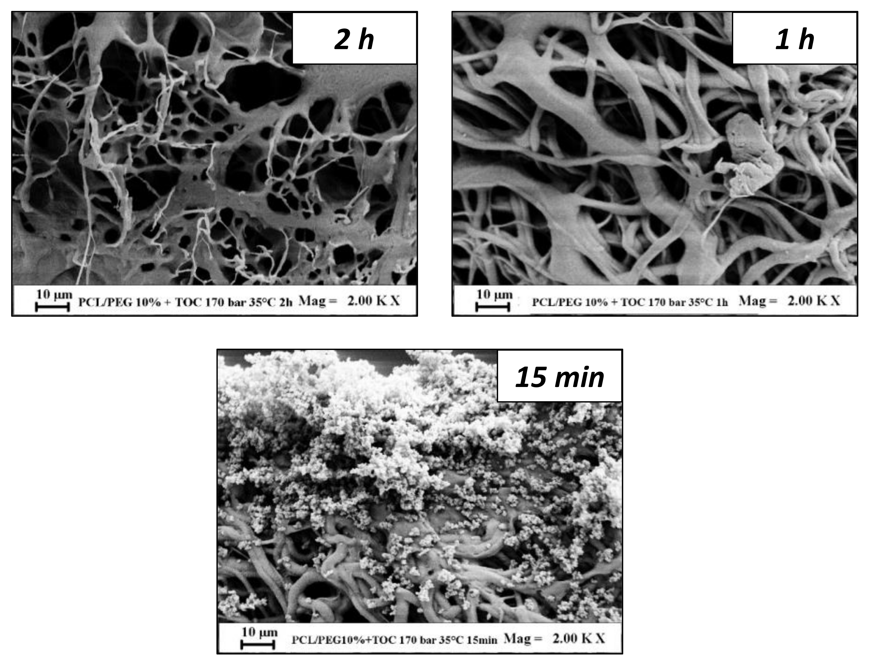 Processes 09 02244 g007