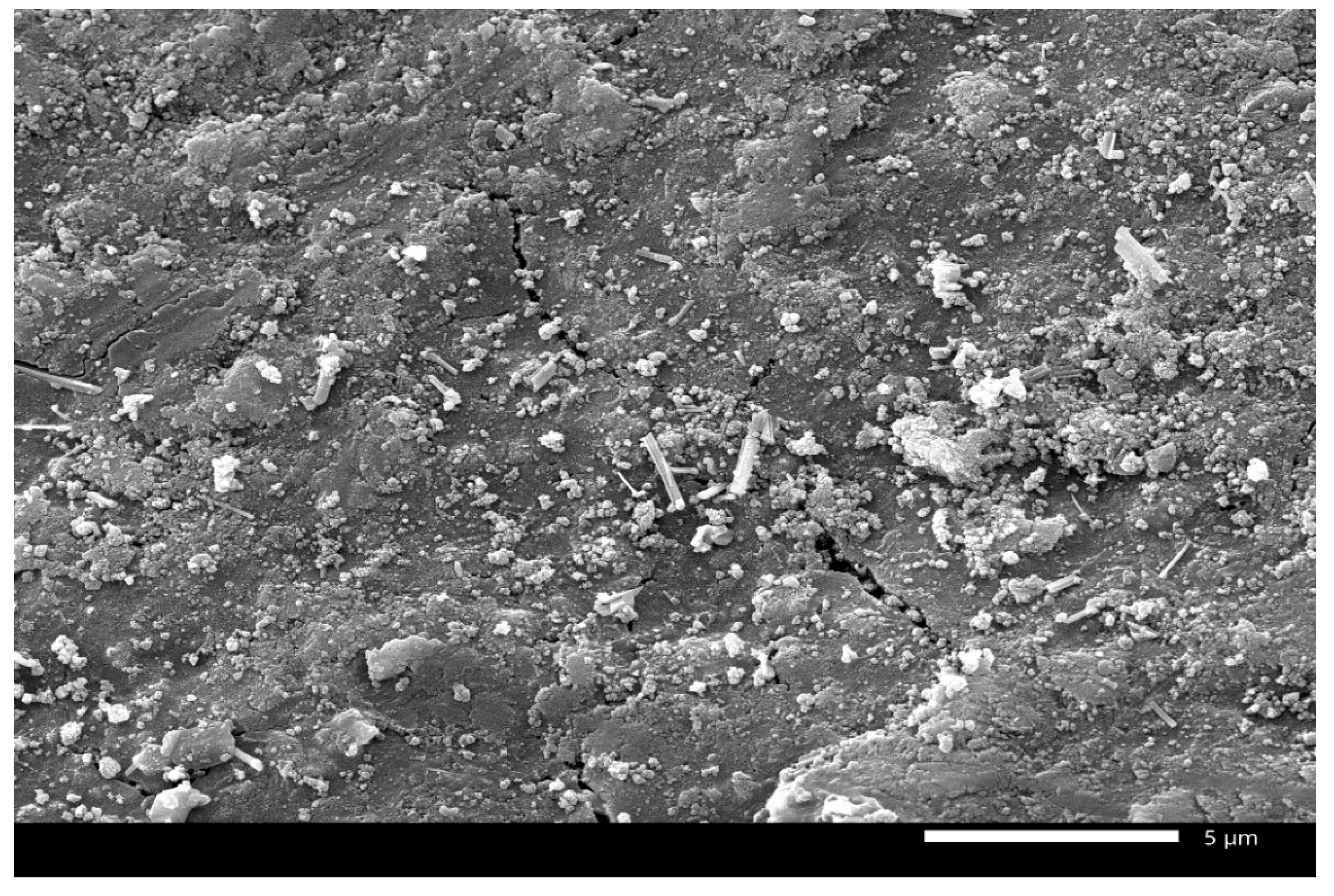 Processes 09 02258 g021 550