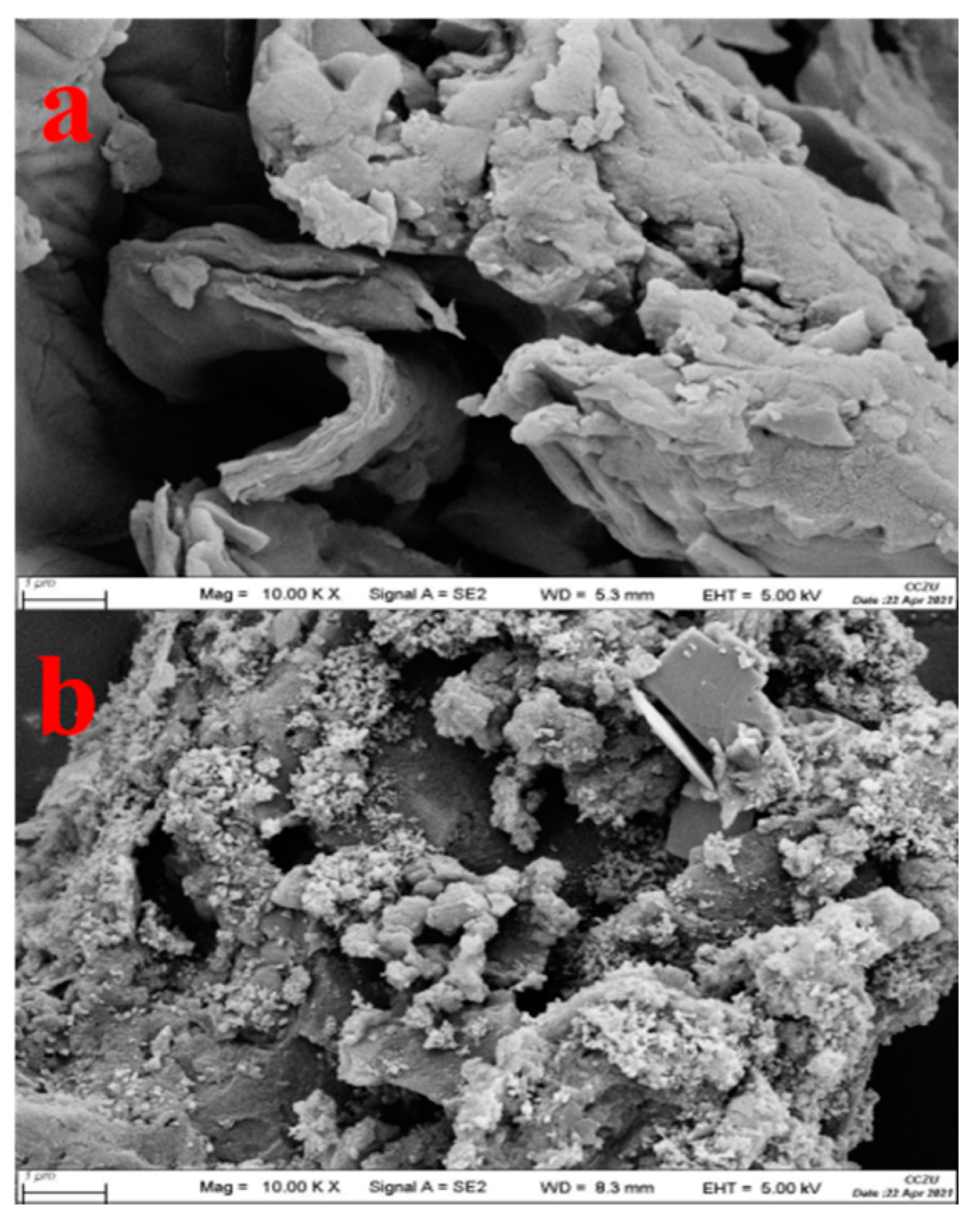 Processes 09 02269 g001 550