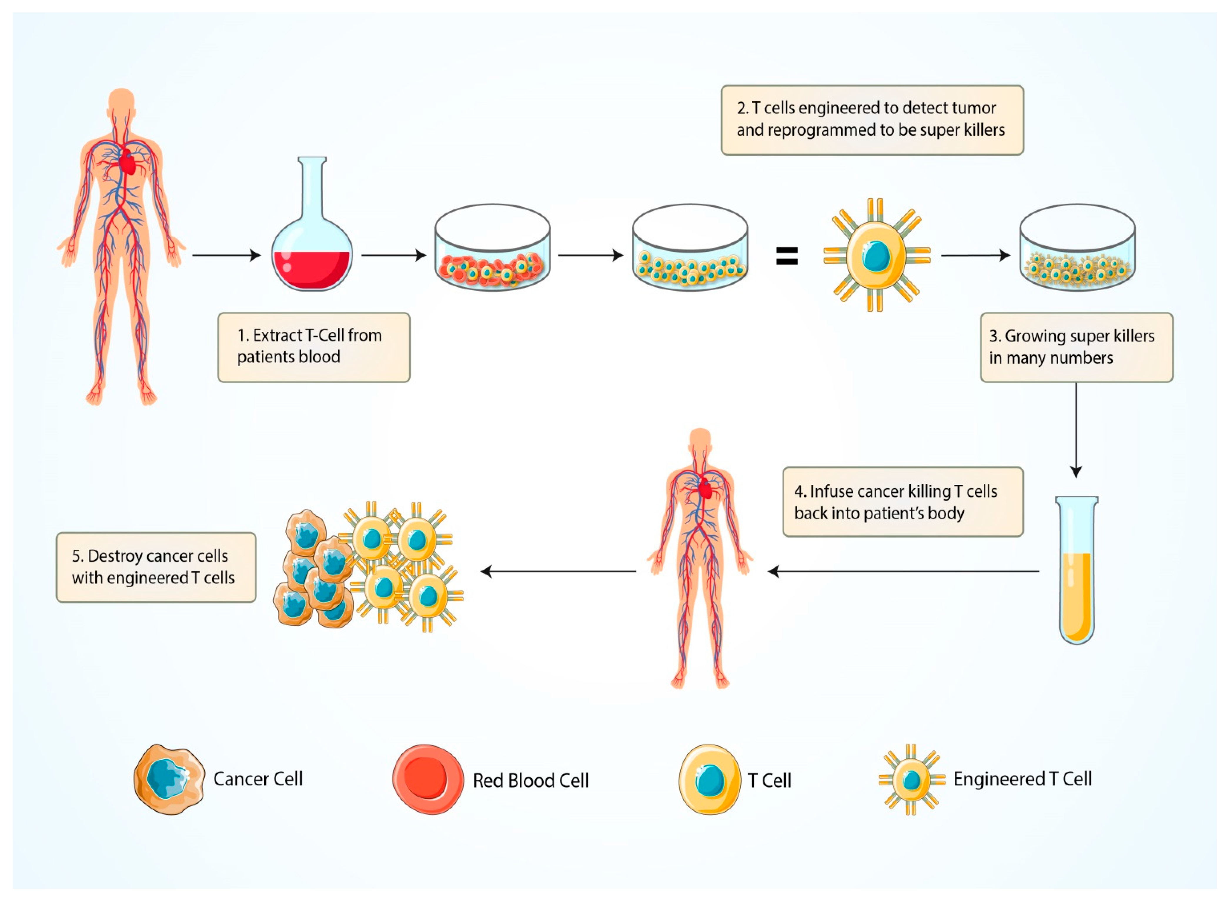 Processes 10 00016 g005