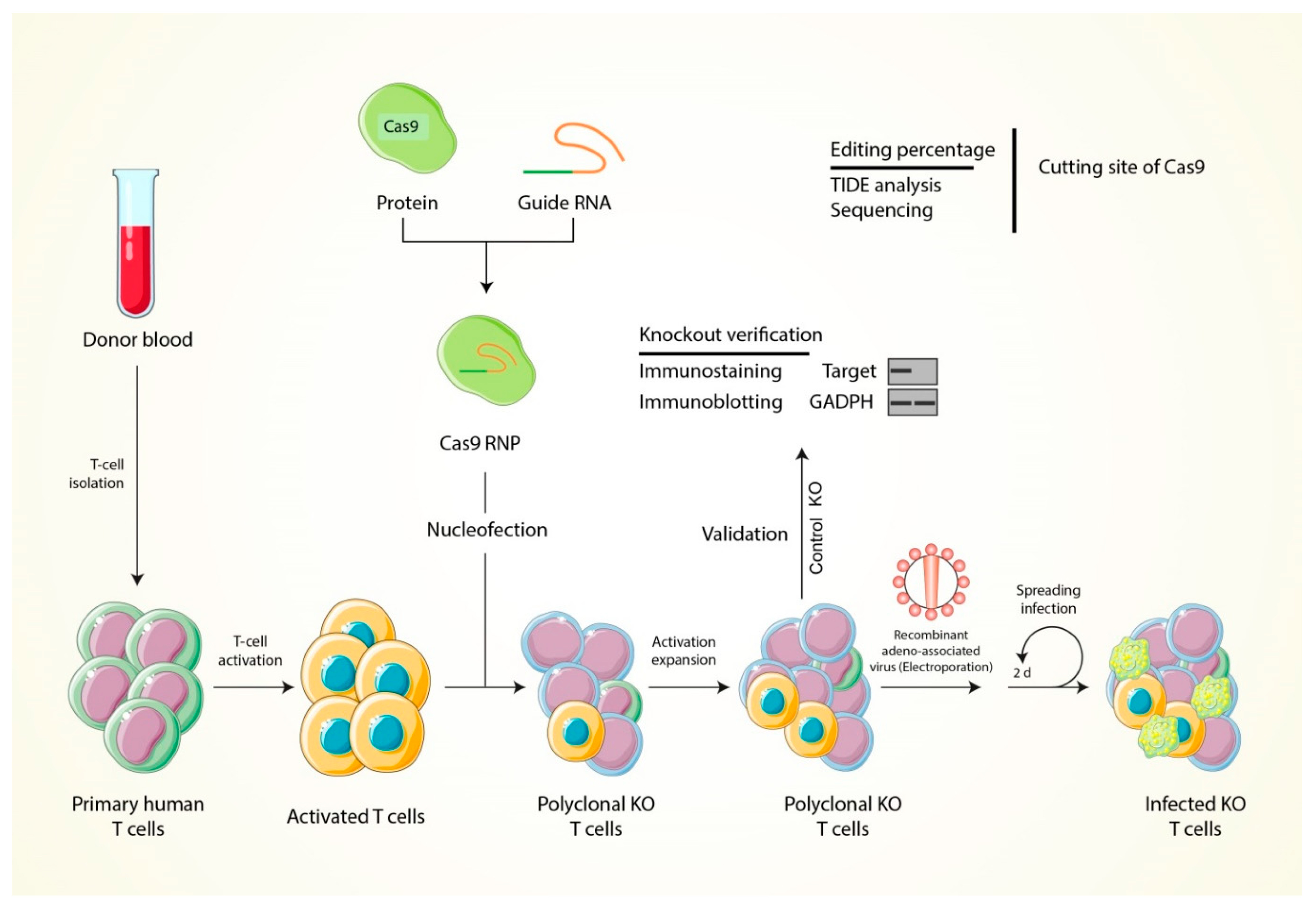 Processes 10 00016 g006