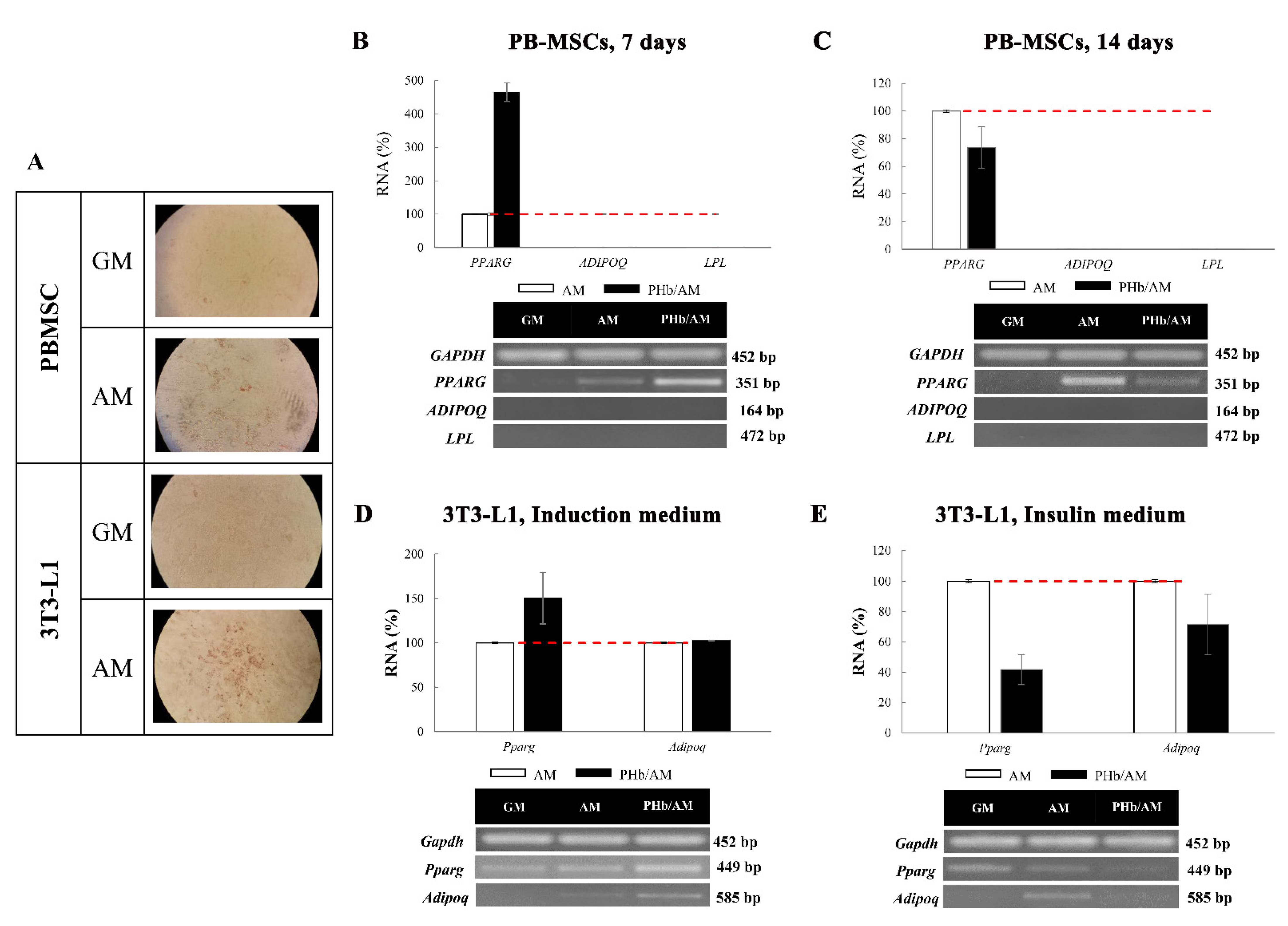 Processes 10 00032 g007 550