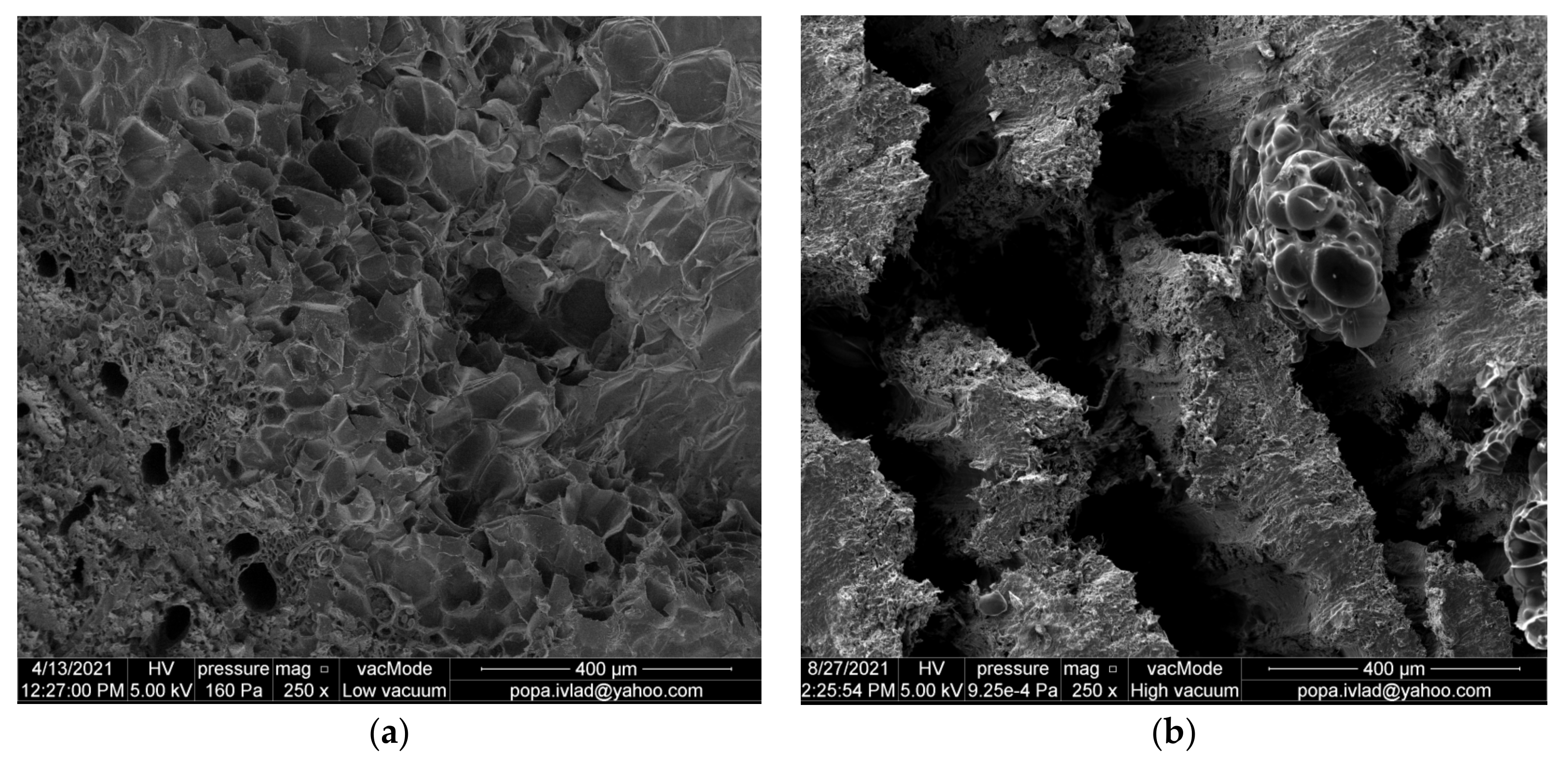 Processes 10 00037 g008