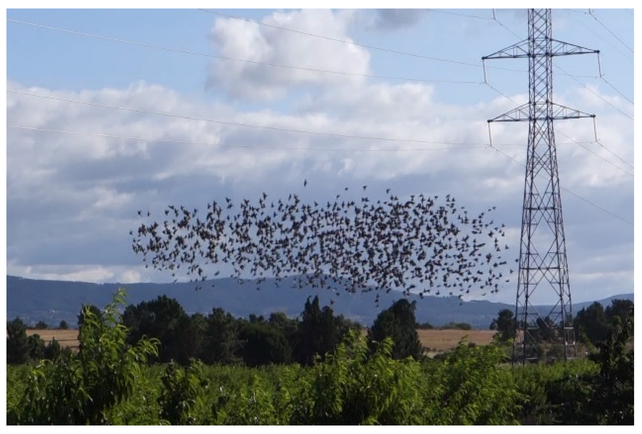 Processes 10 00062 g001 550