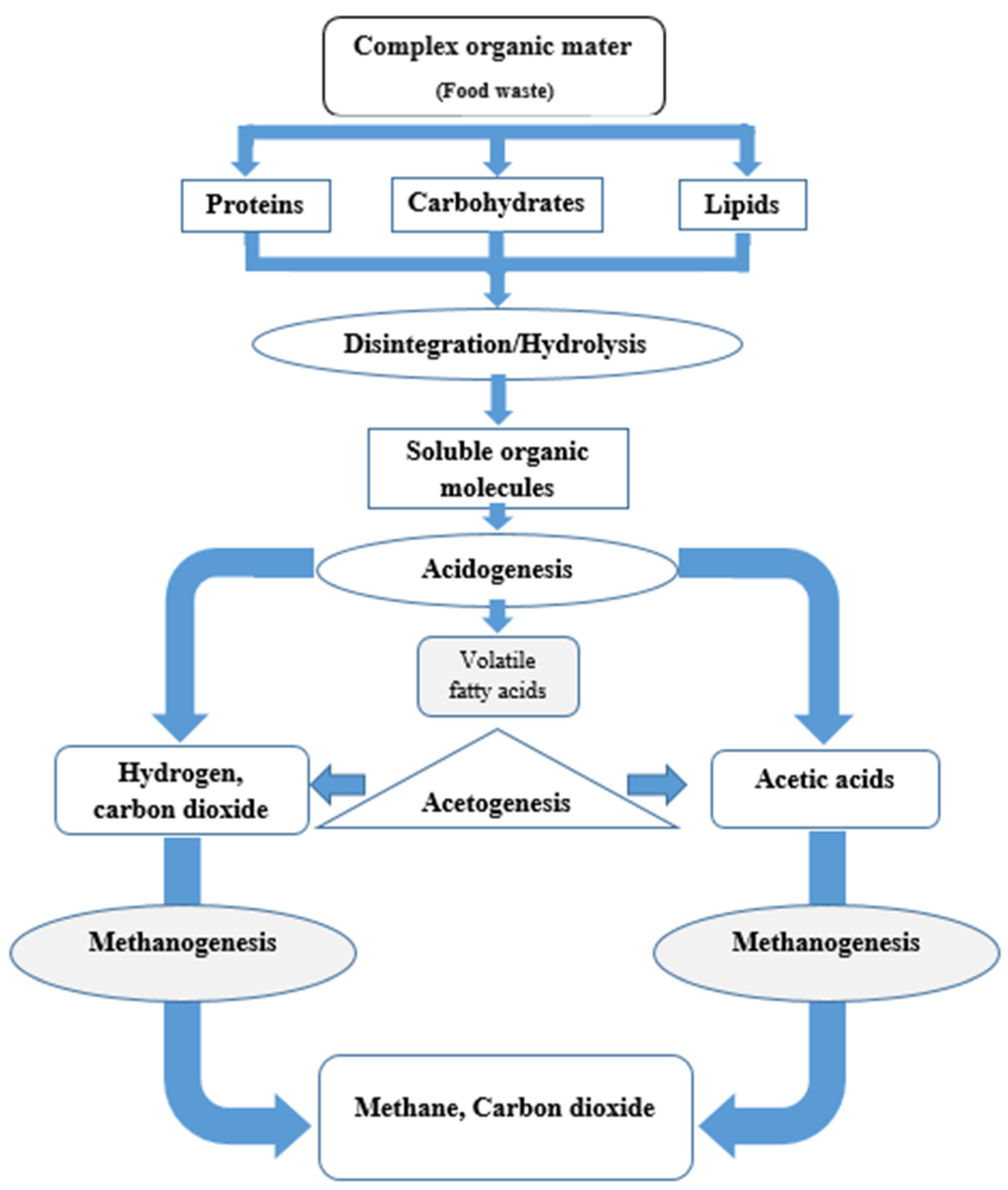 Processes 10 00081 g002