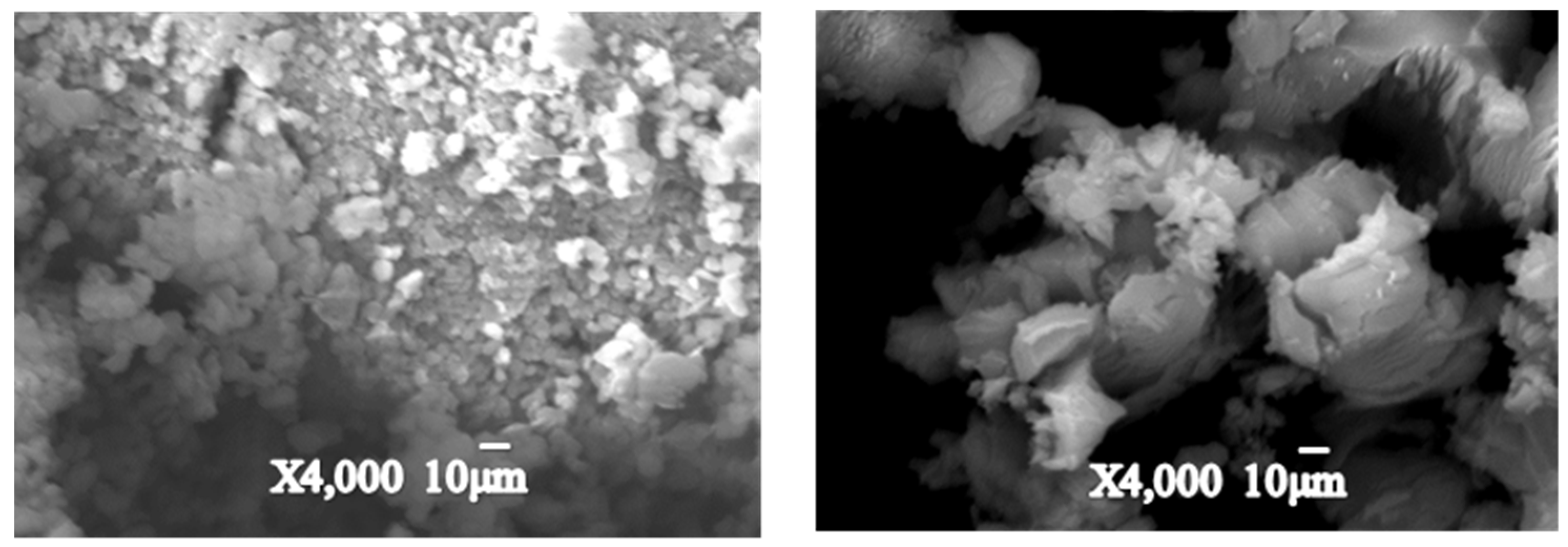 Processes 10 00092 g001