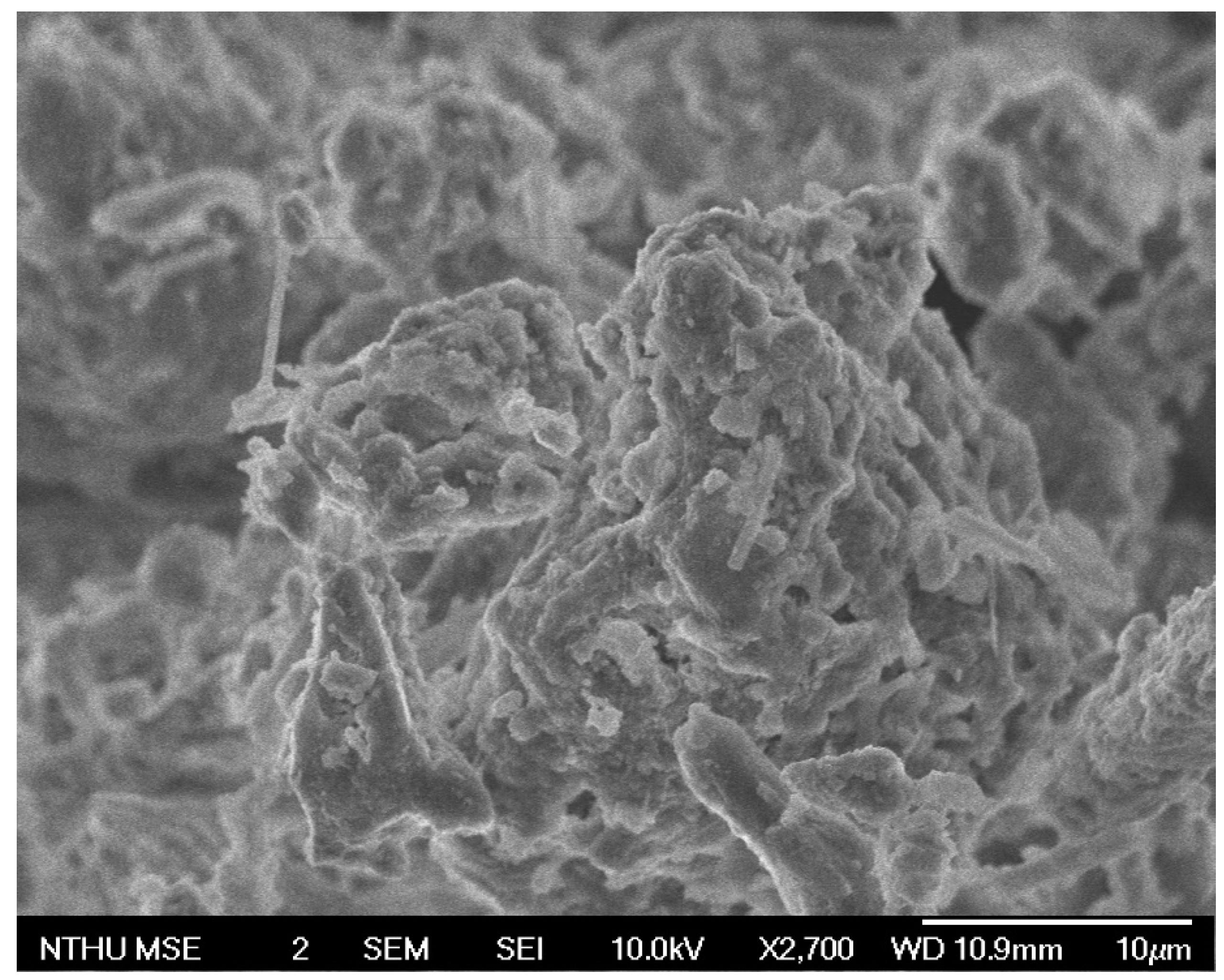 Processes 10 00092 g008