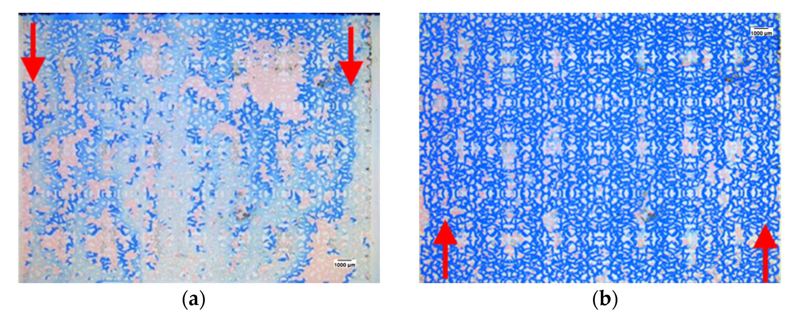 Processes 10 00112 g006