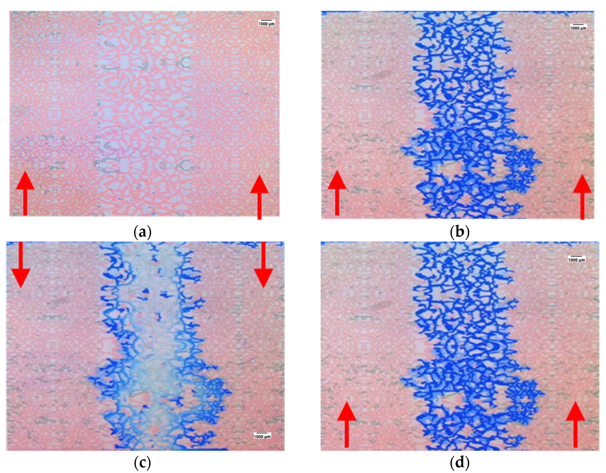 Processes 10 00112 g007