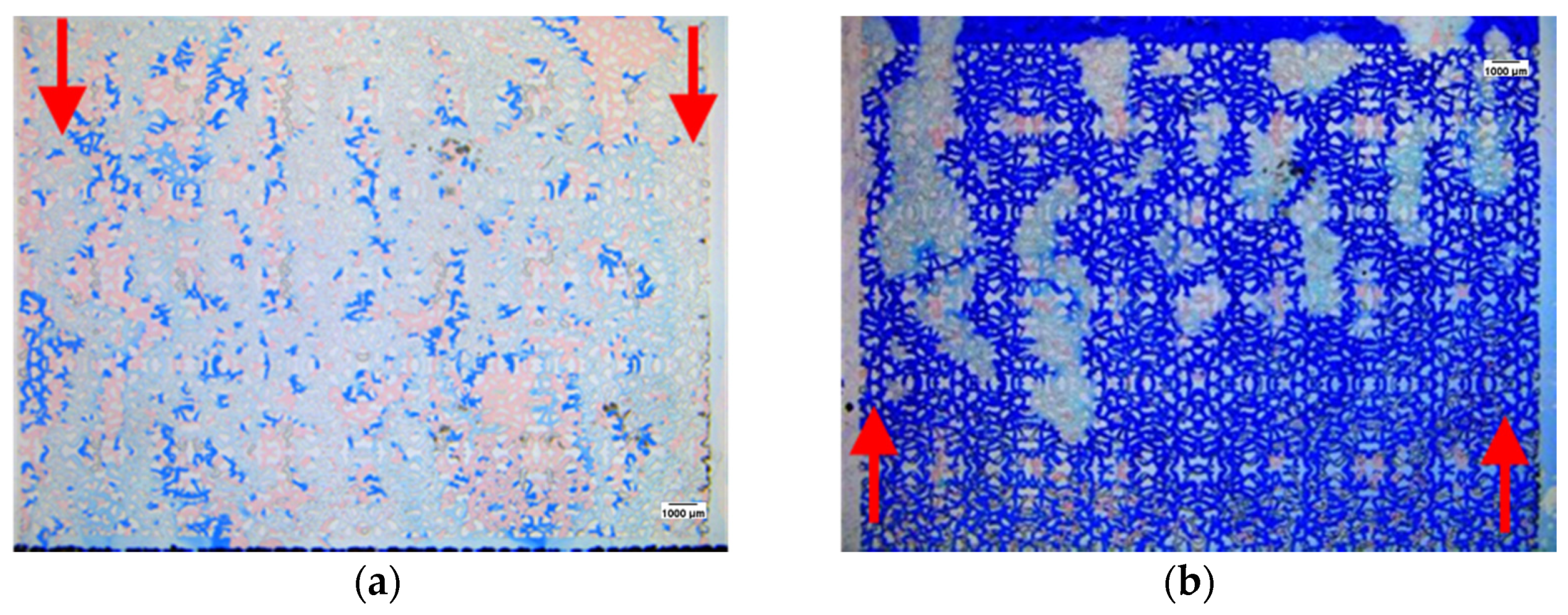 Processes 10 00112 g009