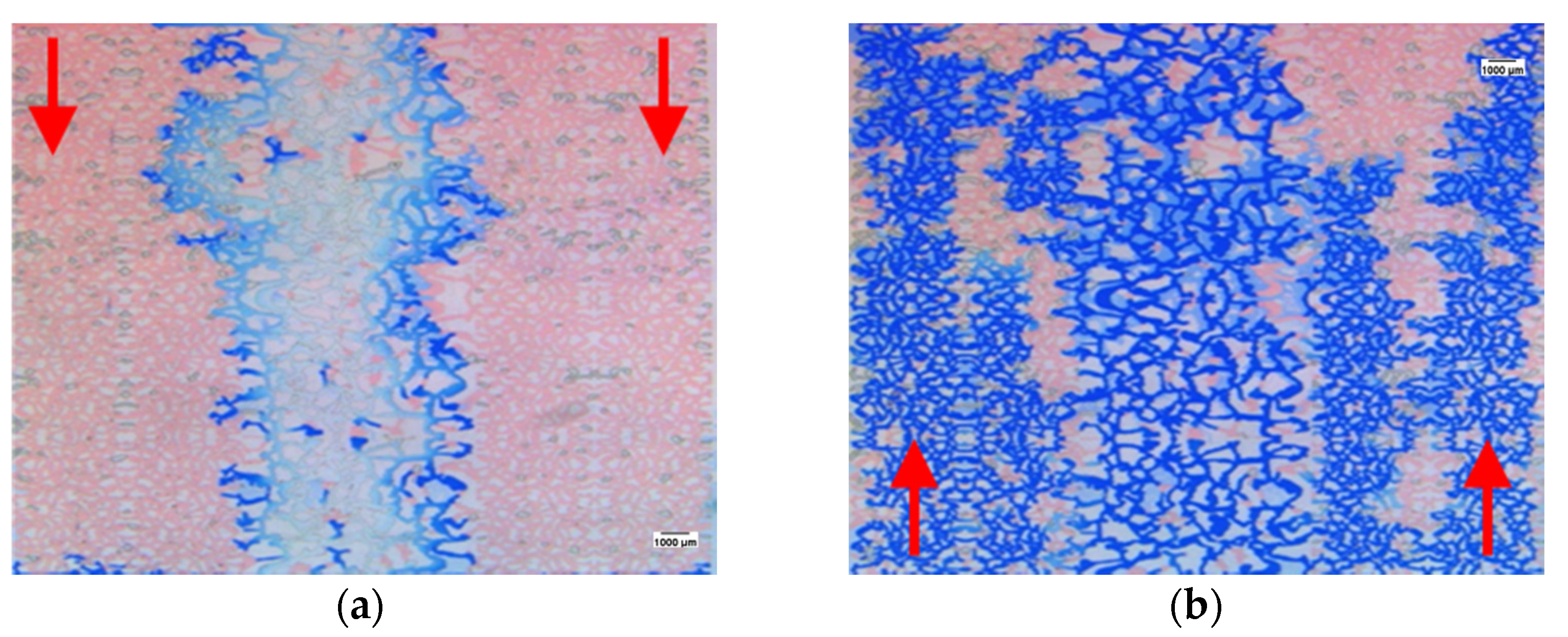 Processes 10 00112 g010