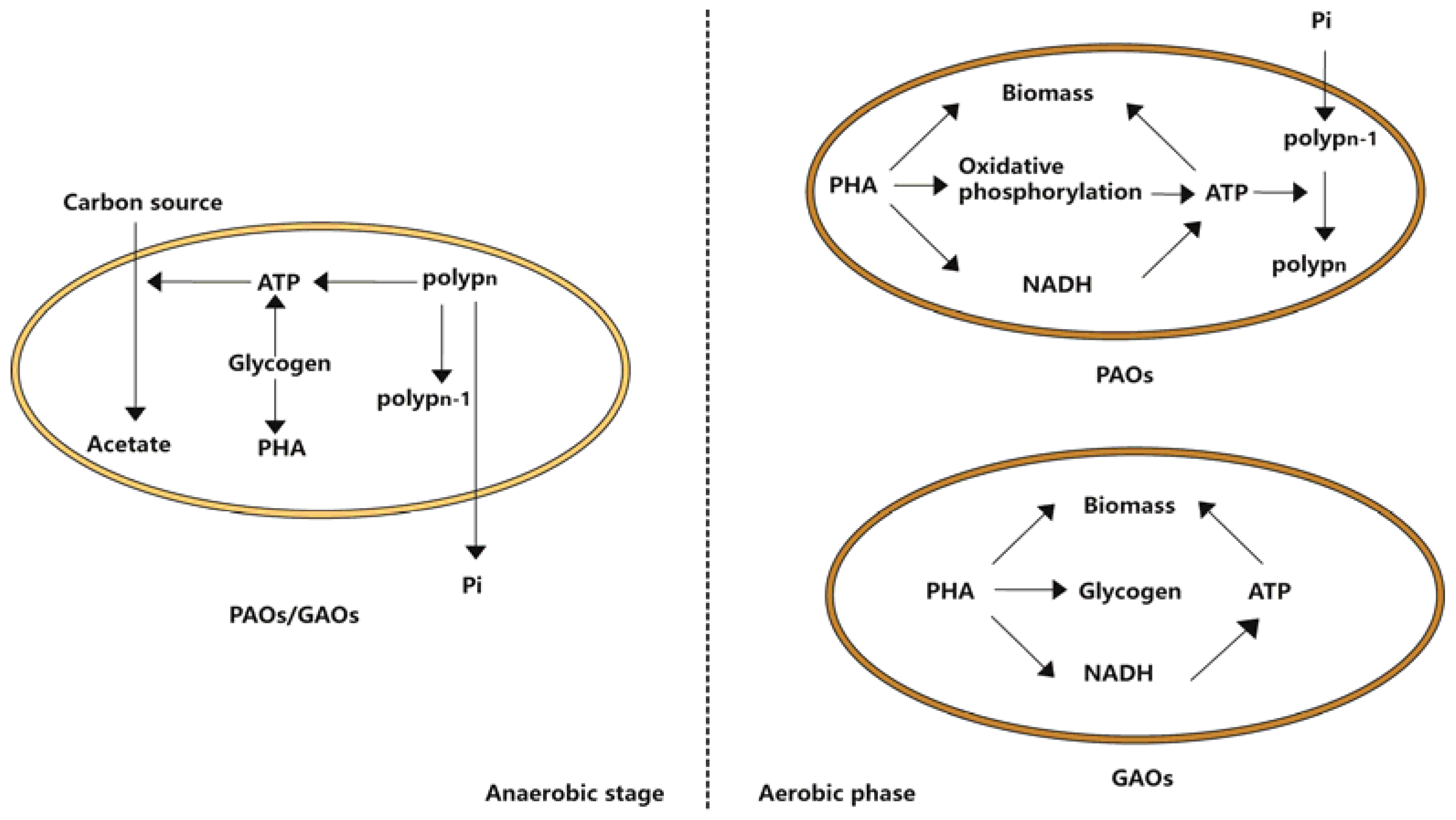 Processes 10 00144 g002 Processes 10 00144 g002
