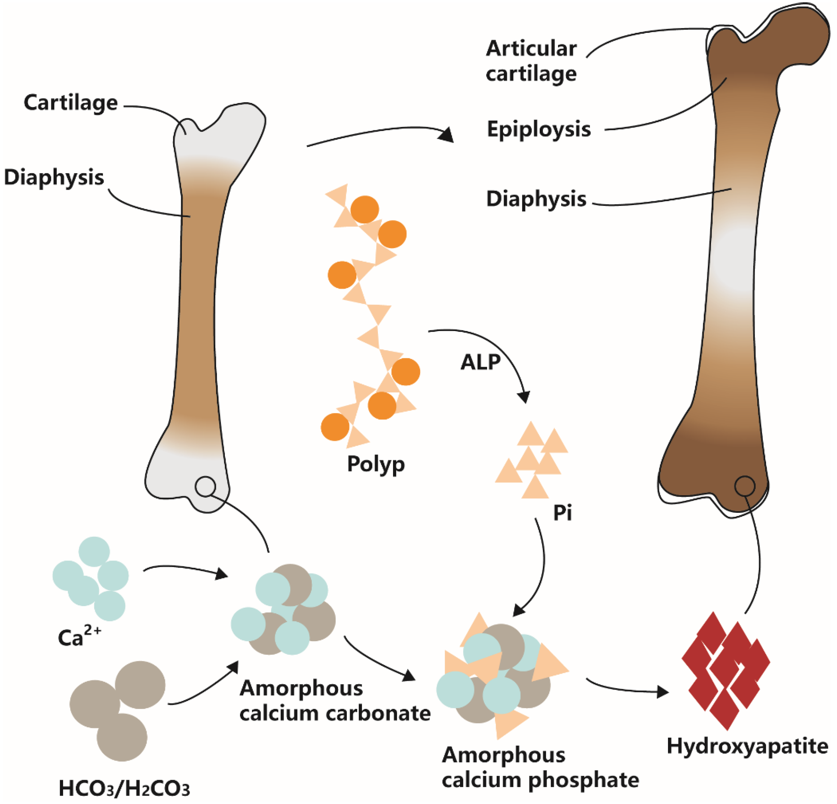 Processes 10 00144 g003 Processes 10 00144 g003