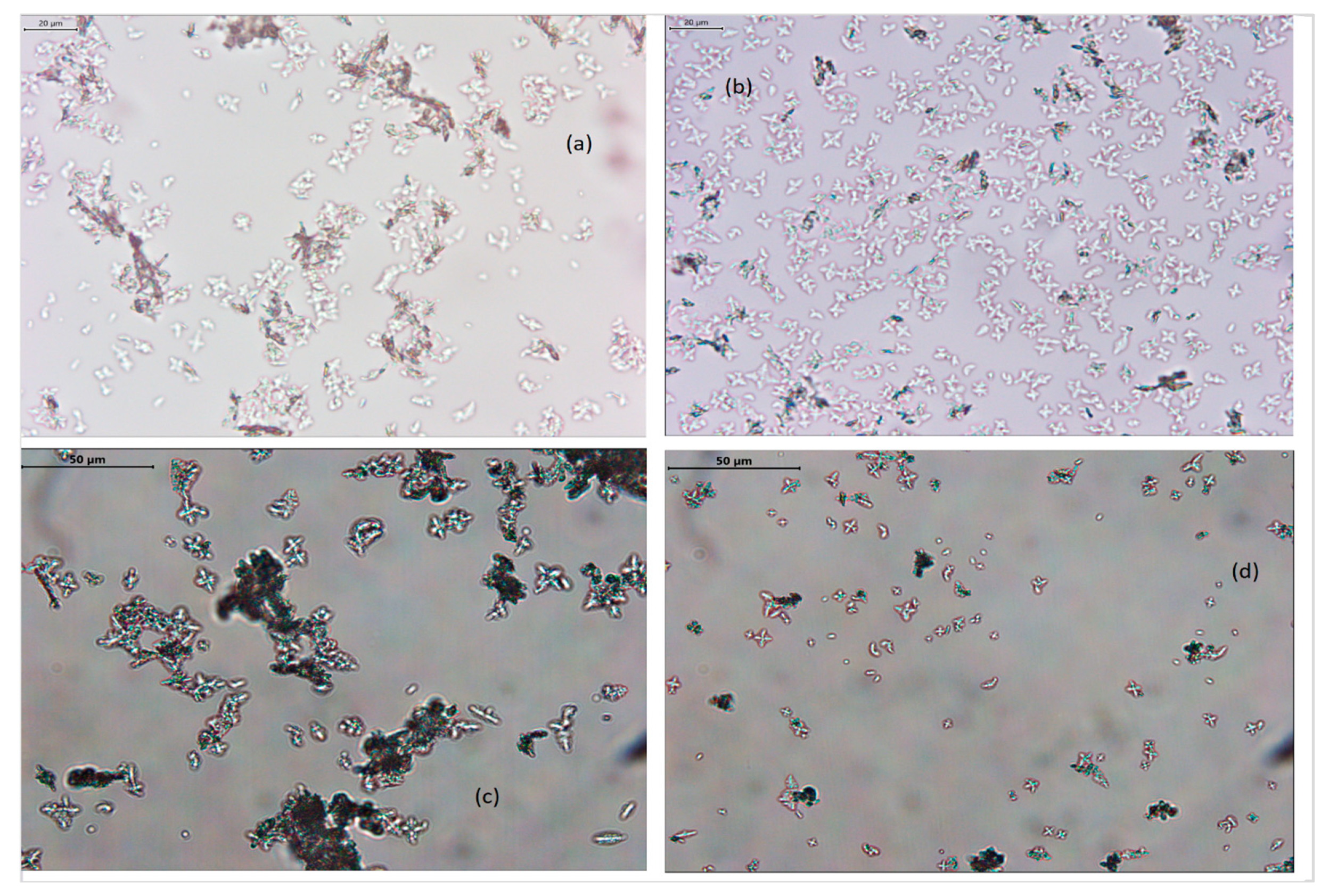 Processes 10 00146 g007
