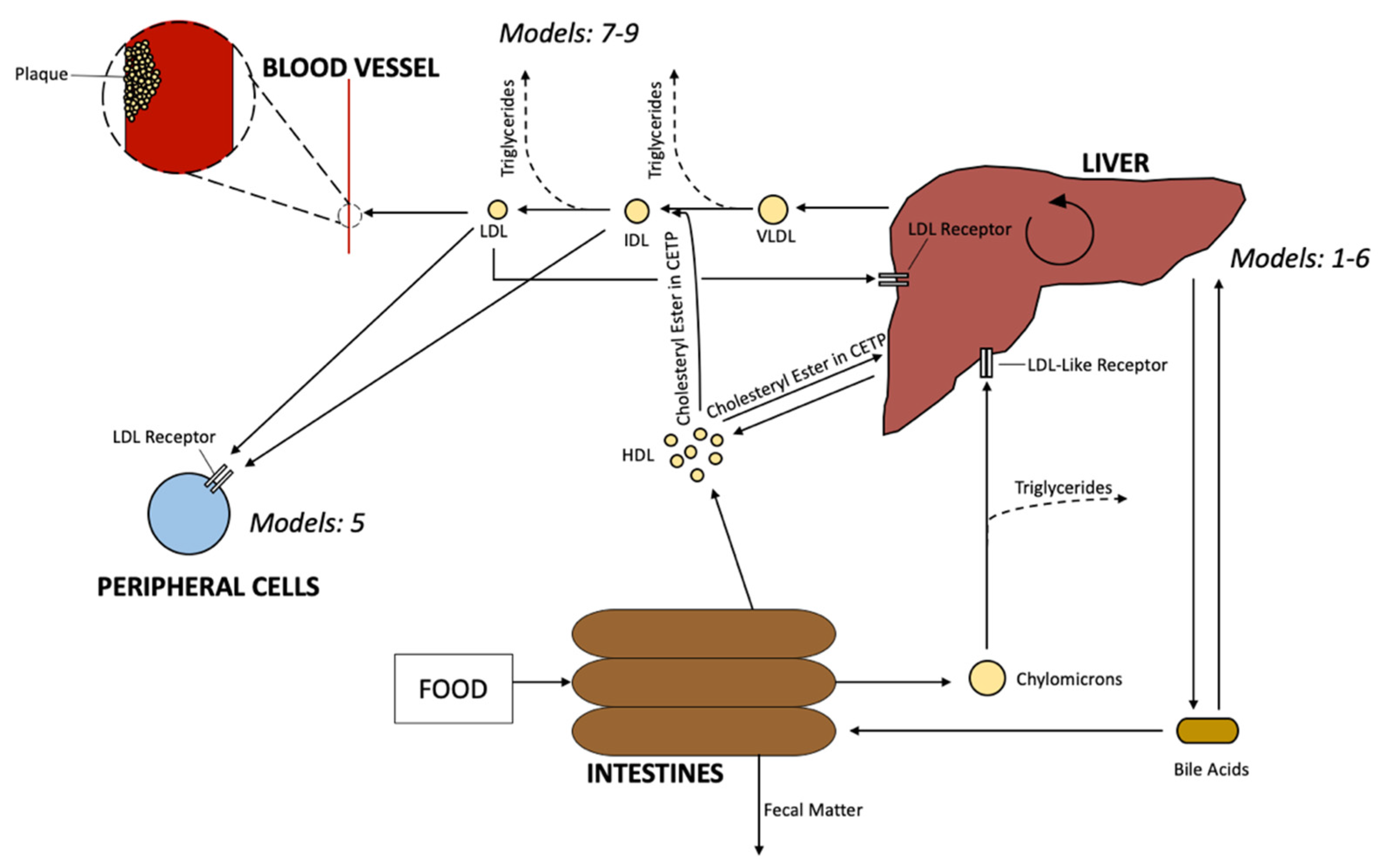 processes-10-00155-g001.png#s-3157,1984