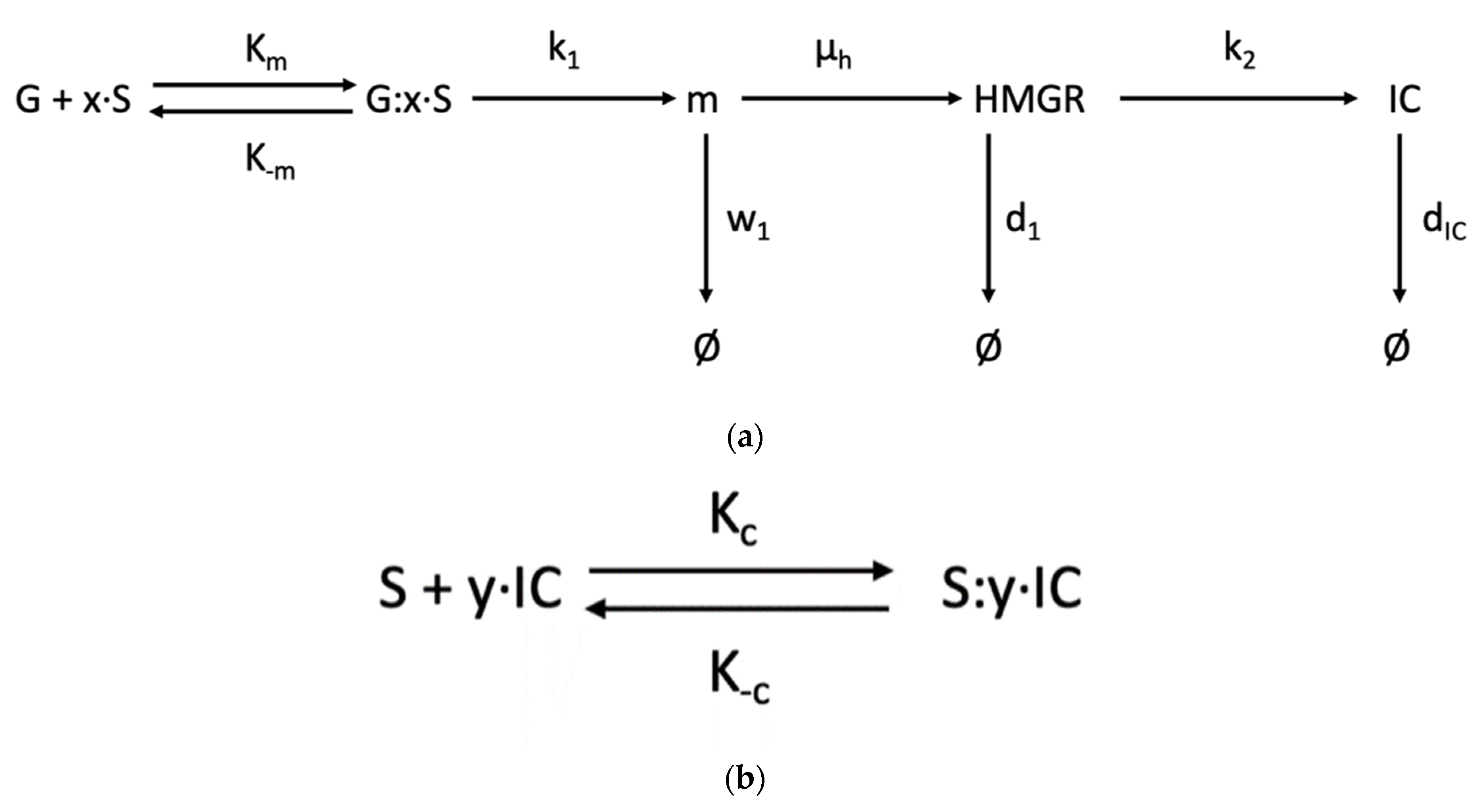 Processes 10 00155 g002a