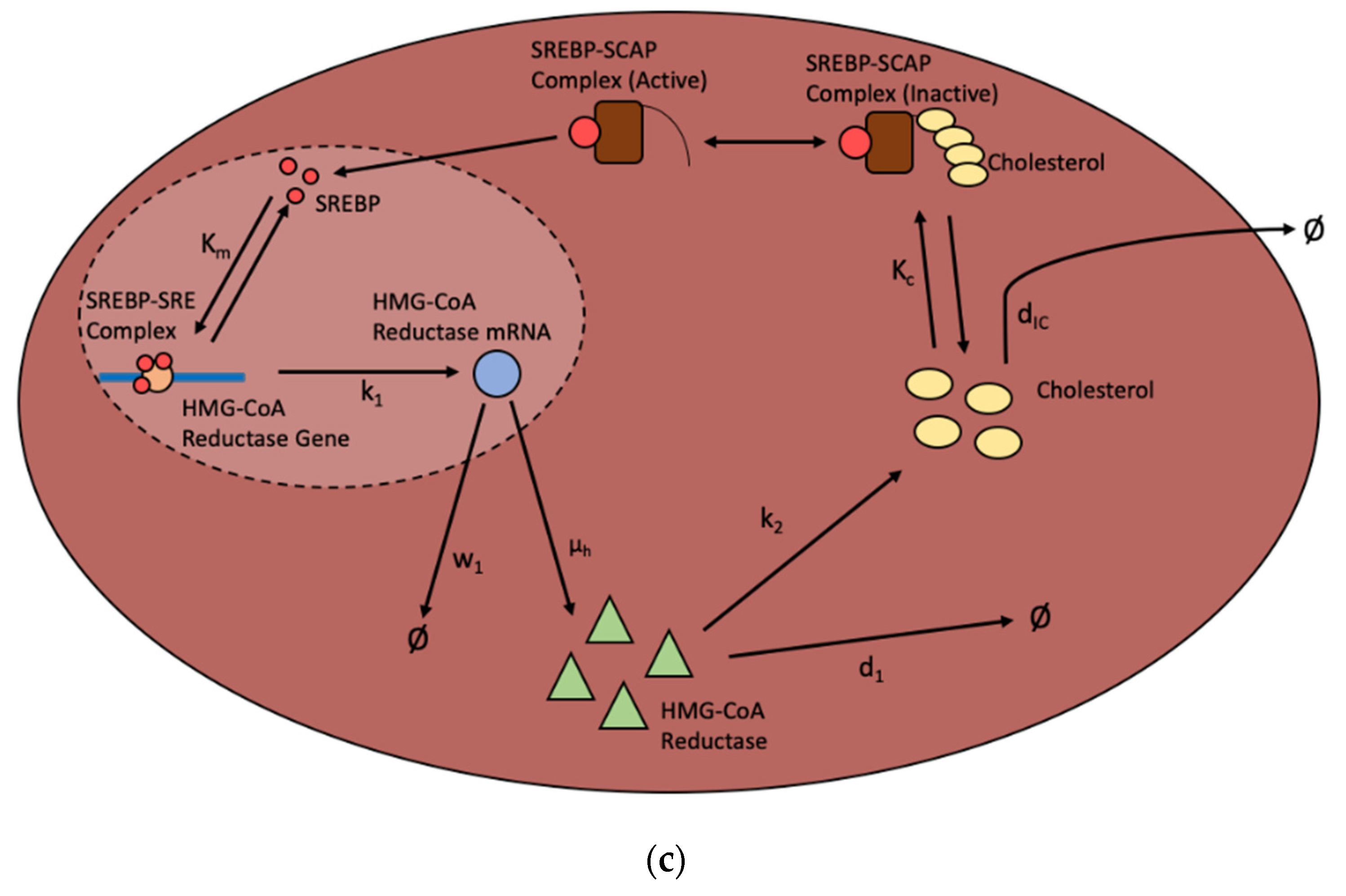 Processes 10 00155 g002b