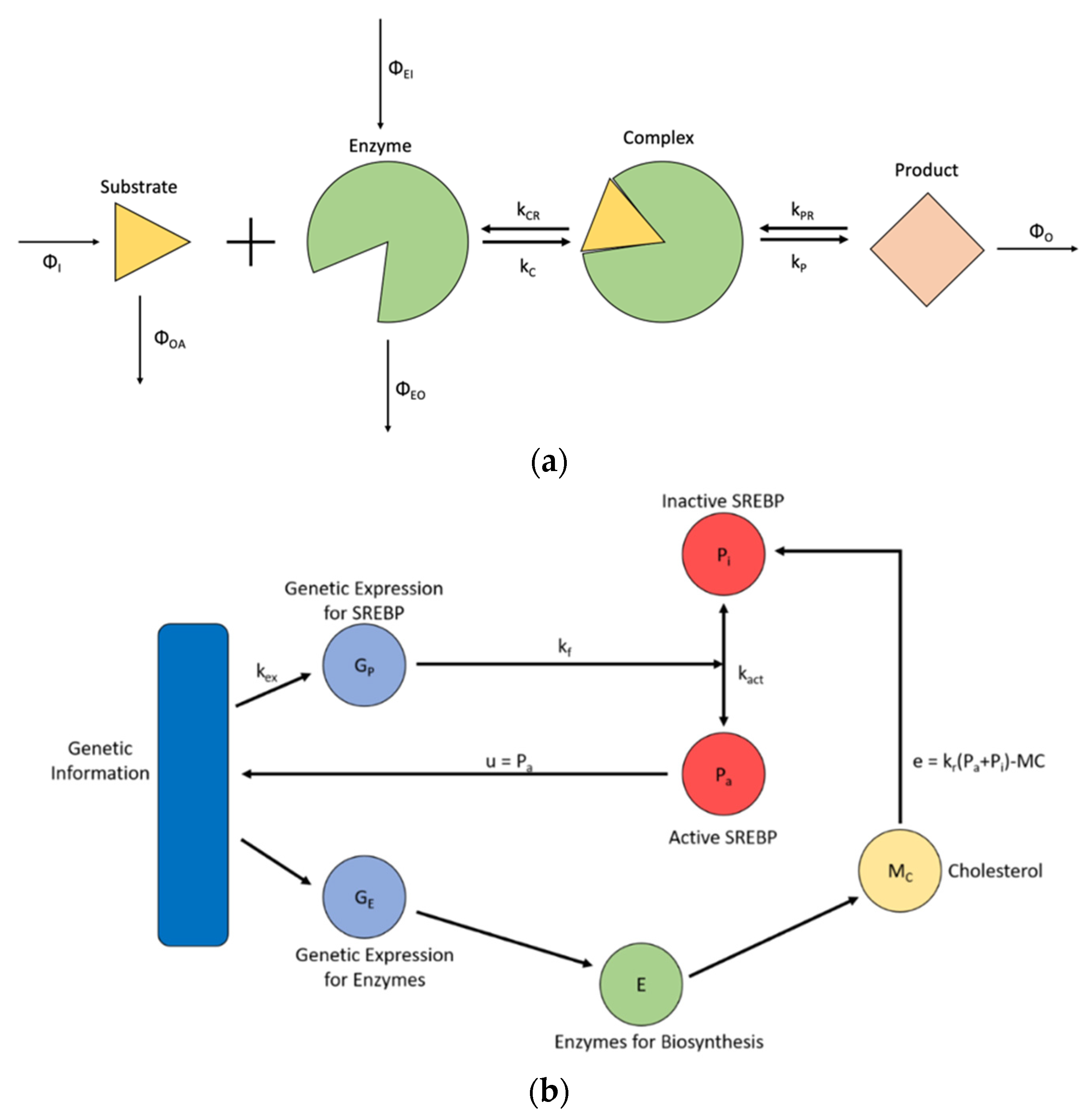 Processes 10 00155 g003