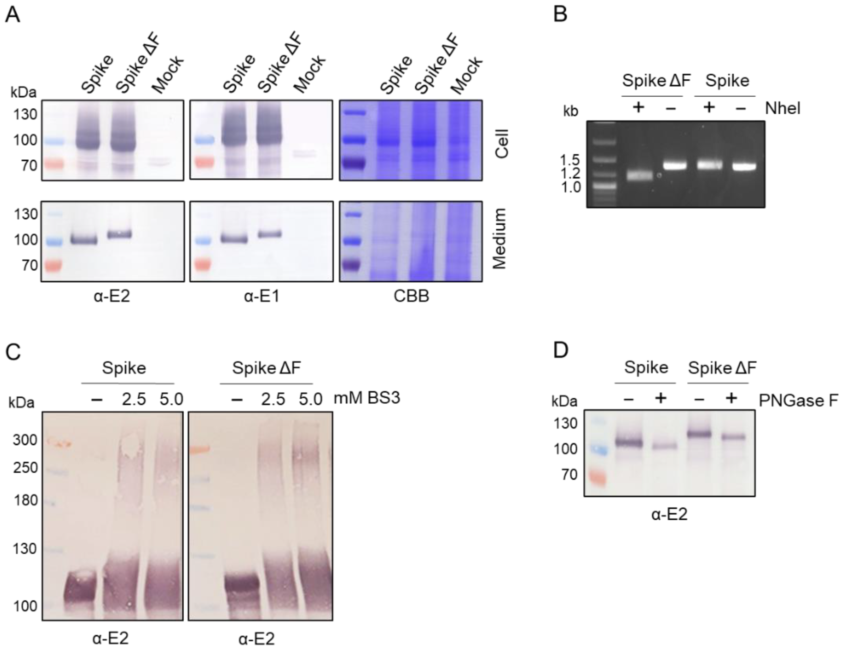Processes 10 00162 g002