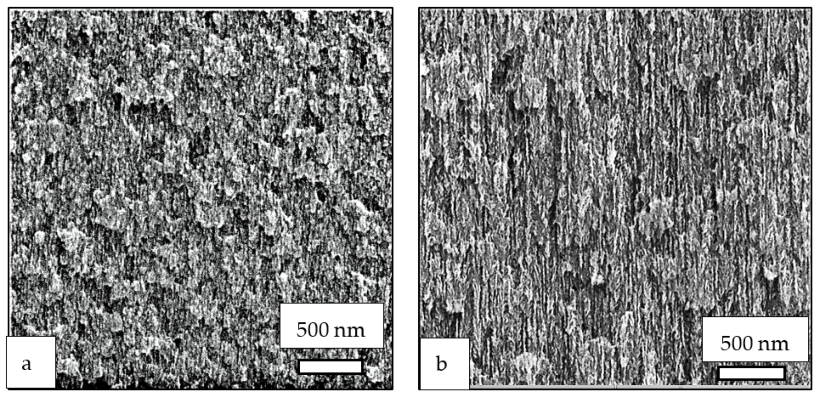 Processes 10 00163 g004 550