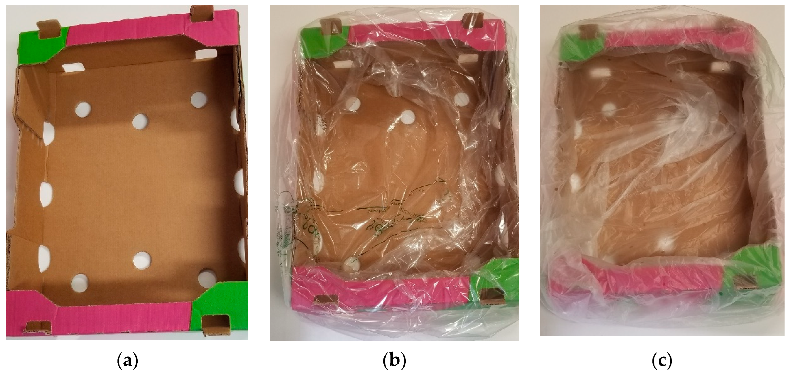 Processes 10 00164 g001