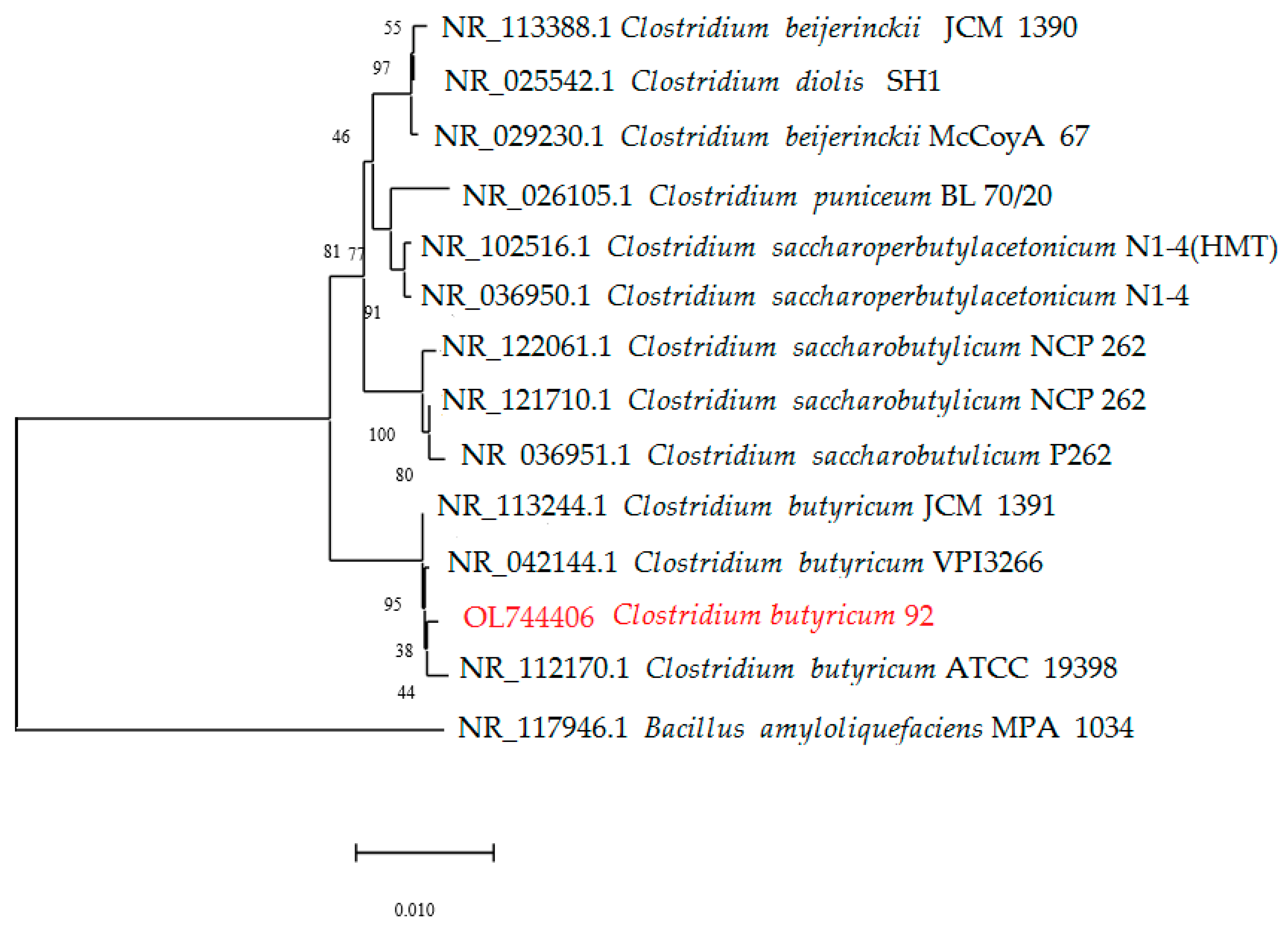Processes 10 00170 g001 Processes 10 00170 g001