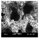 Processes 10 00174 i031