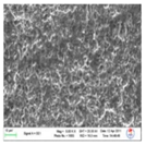 Processes 10 00174 i035