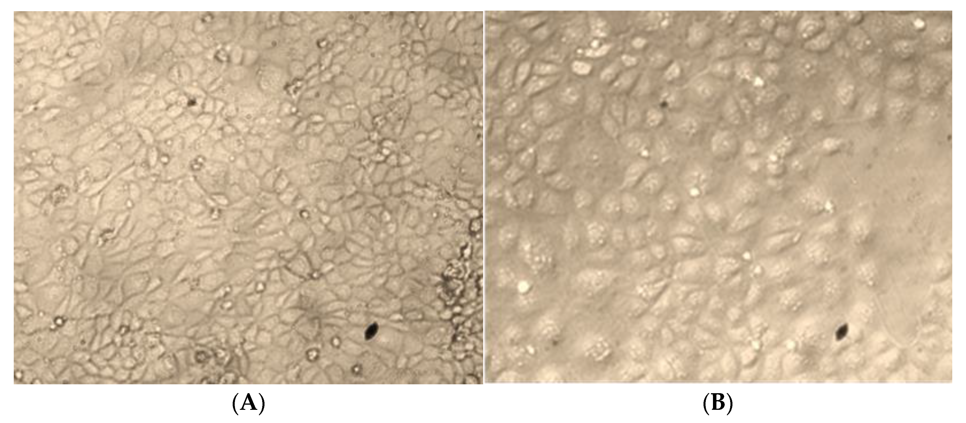 Processes 10 00183 g006 Processes 10 00183 g006