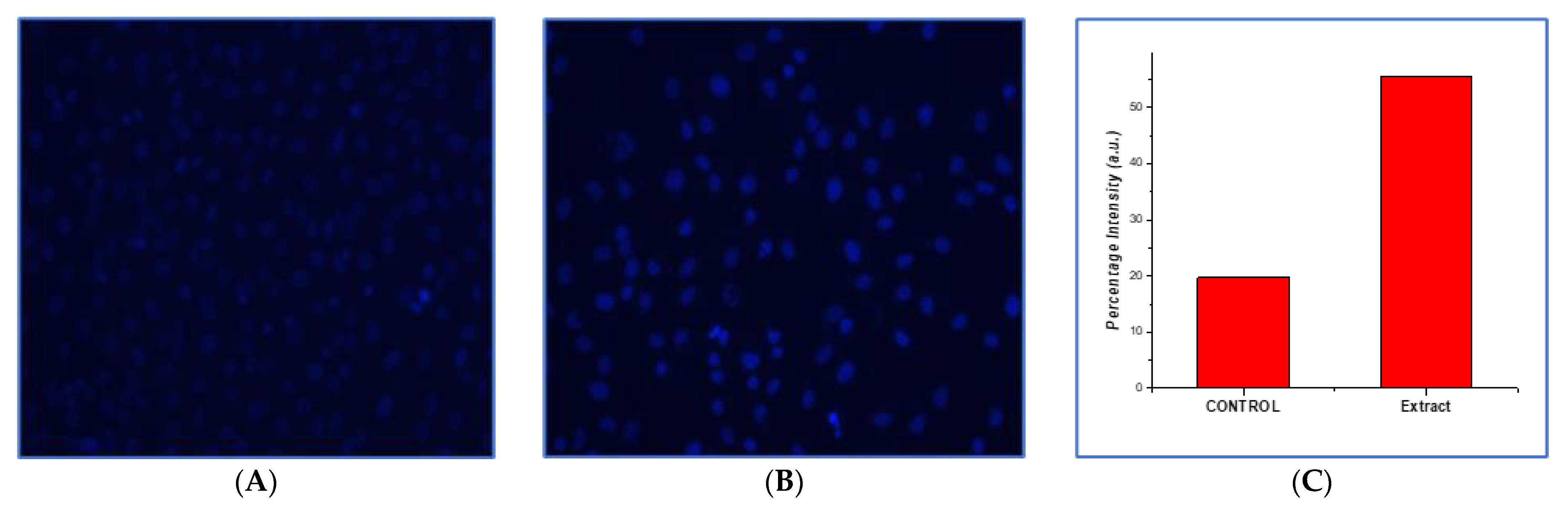 Processes 10 00183 g007 Processes 10 00183 g007