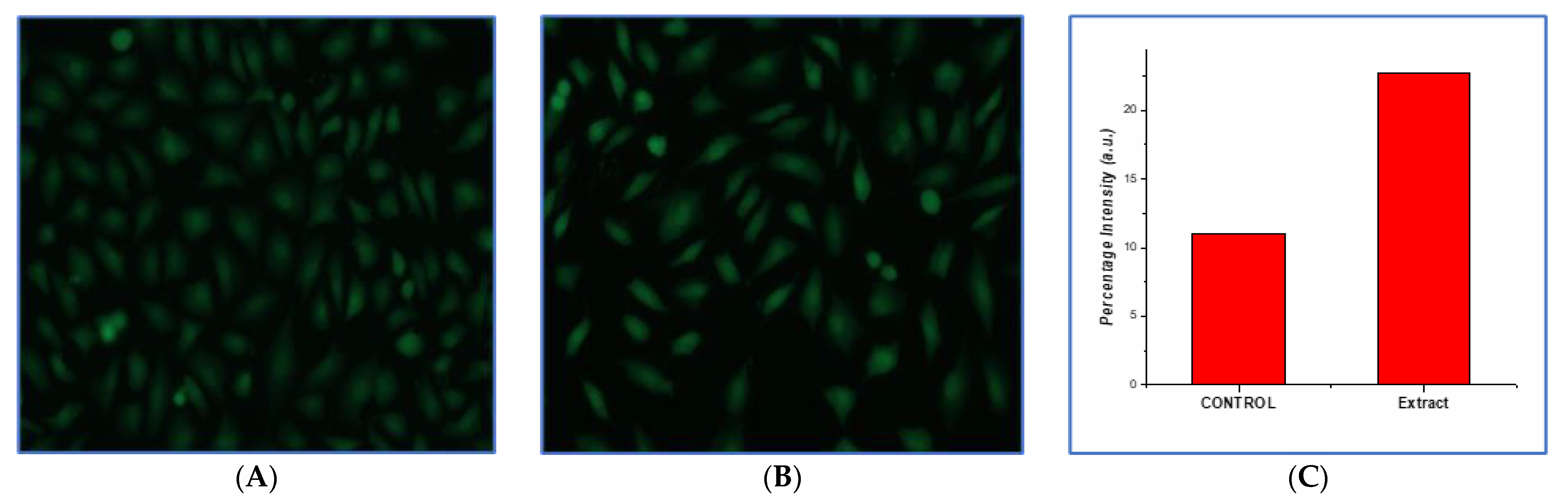 Processes 10 00183 g008 Processes 10 00183 g008