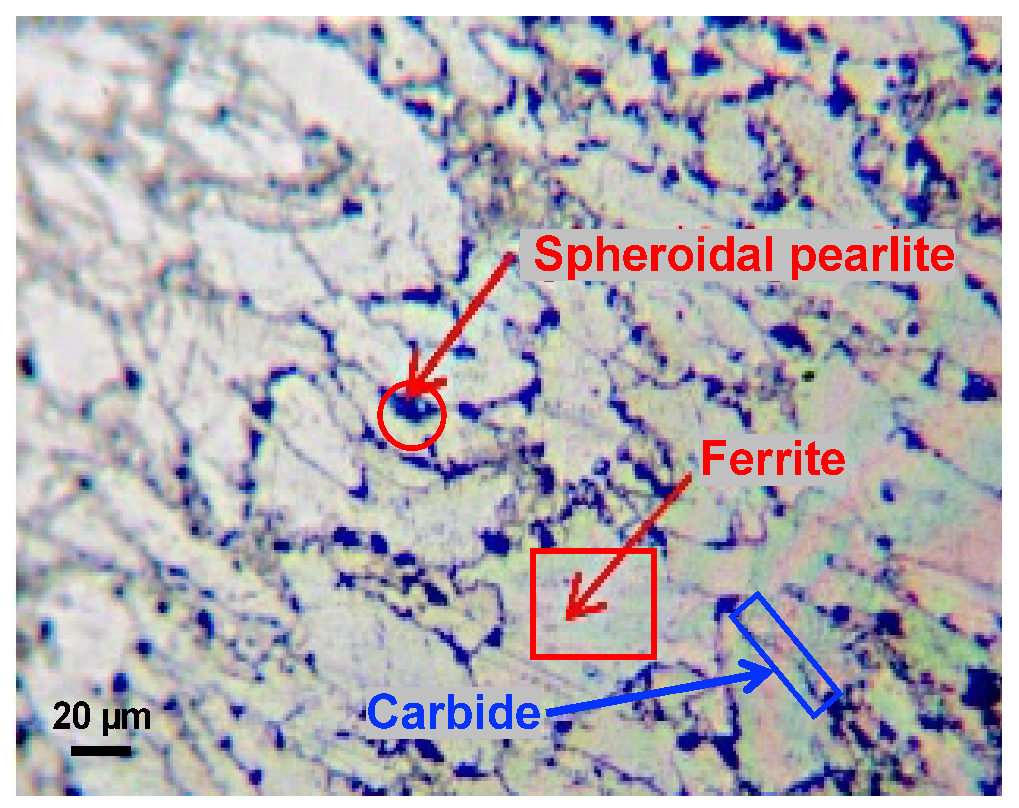 Processes 10 00192 g002 550