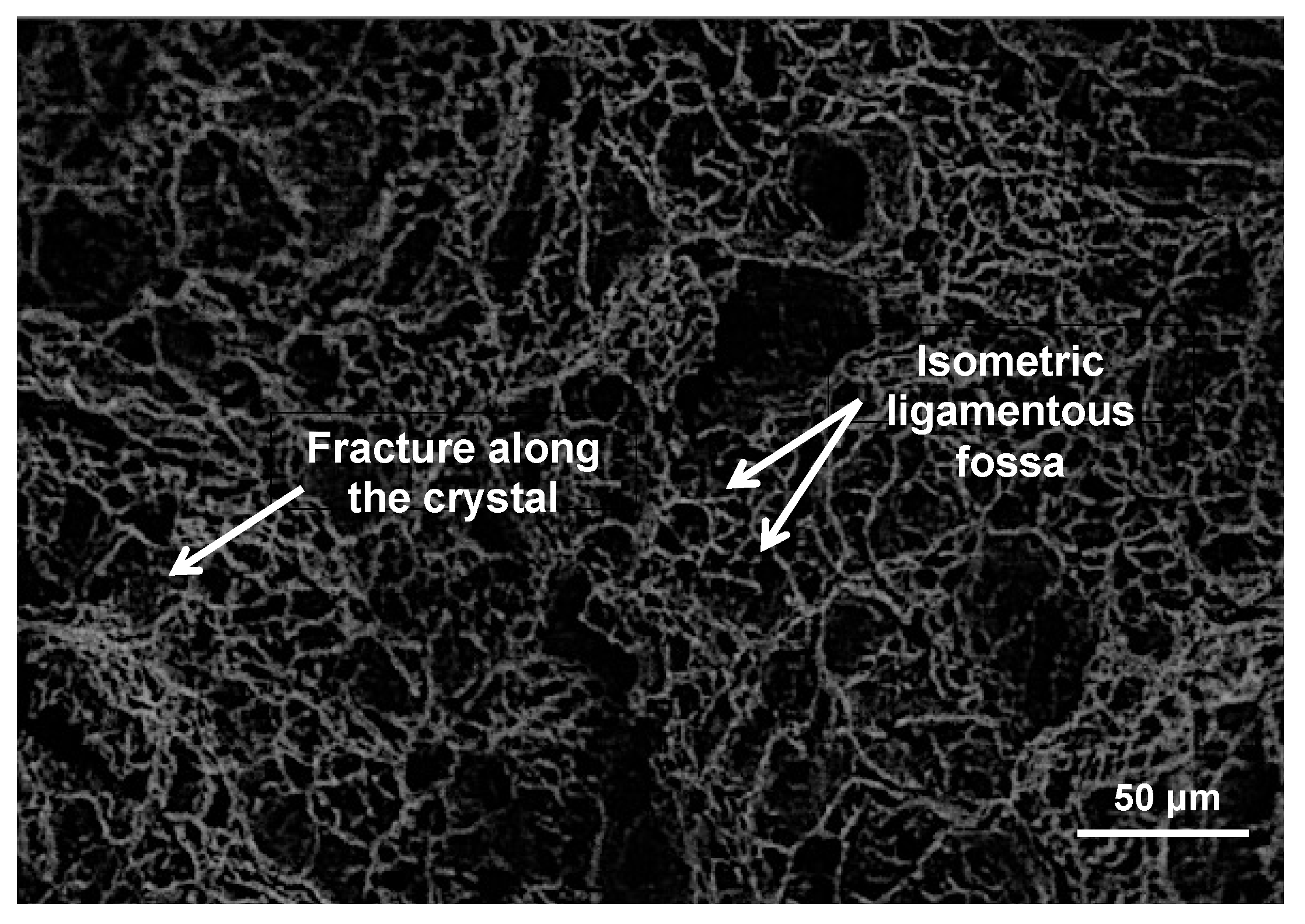 Processes 10 00192 g006 550