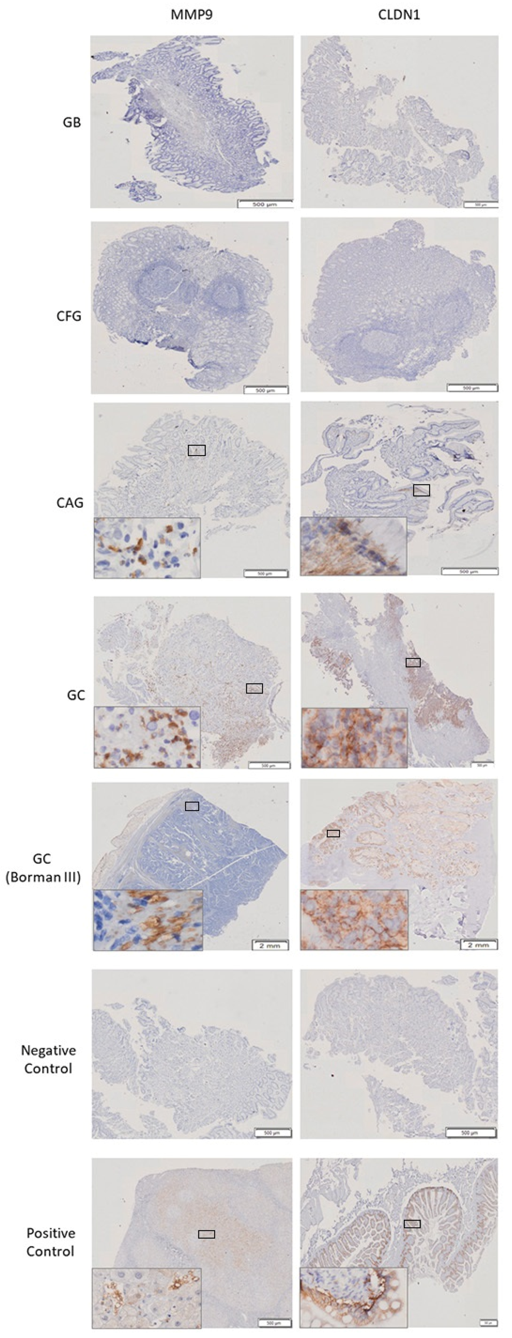 Processes 10 00196 g005