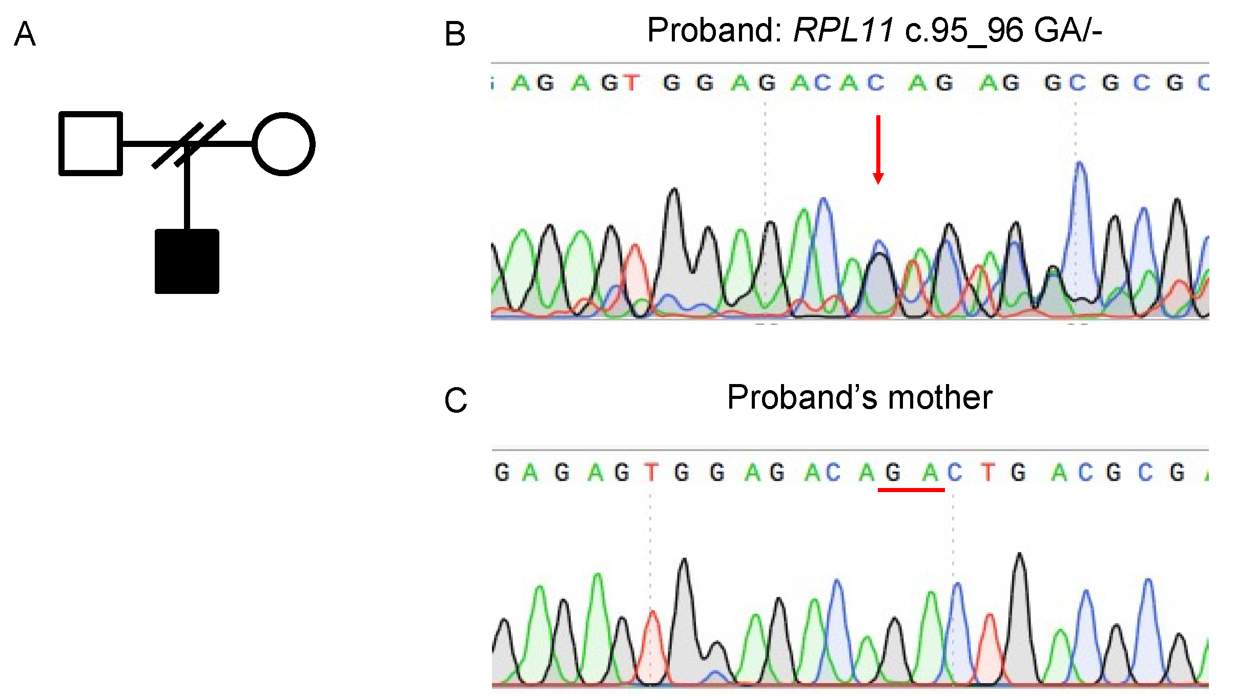 Processes 10 00201 g001 Processes 10 00201 g001