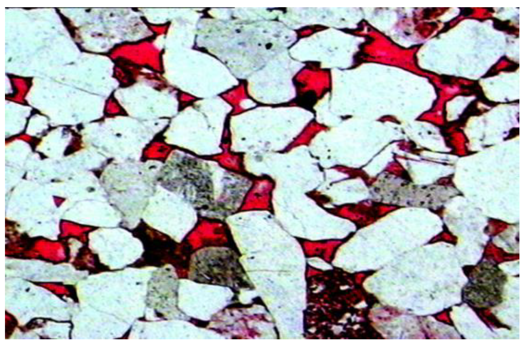 Processes 10 00211 g001 550