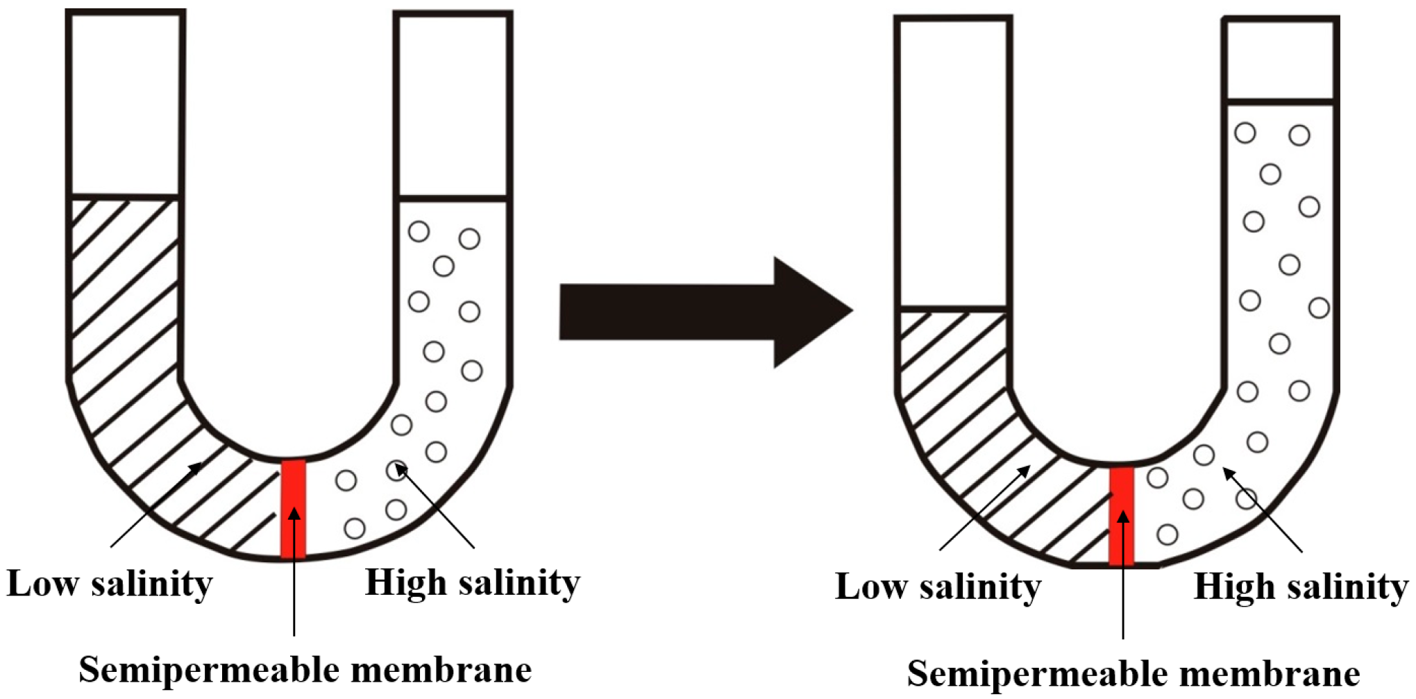 Processes 10 00228 g003 Processes 10 00228 g003