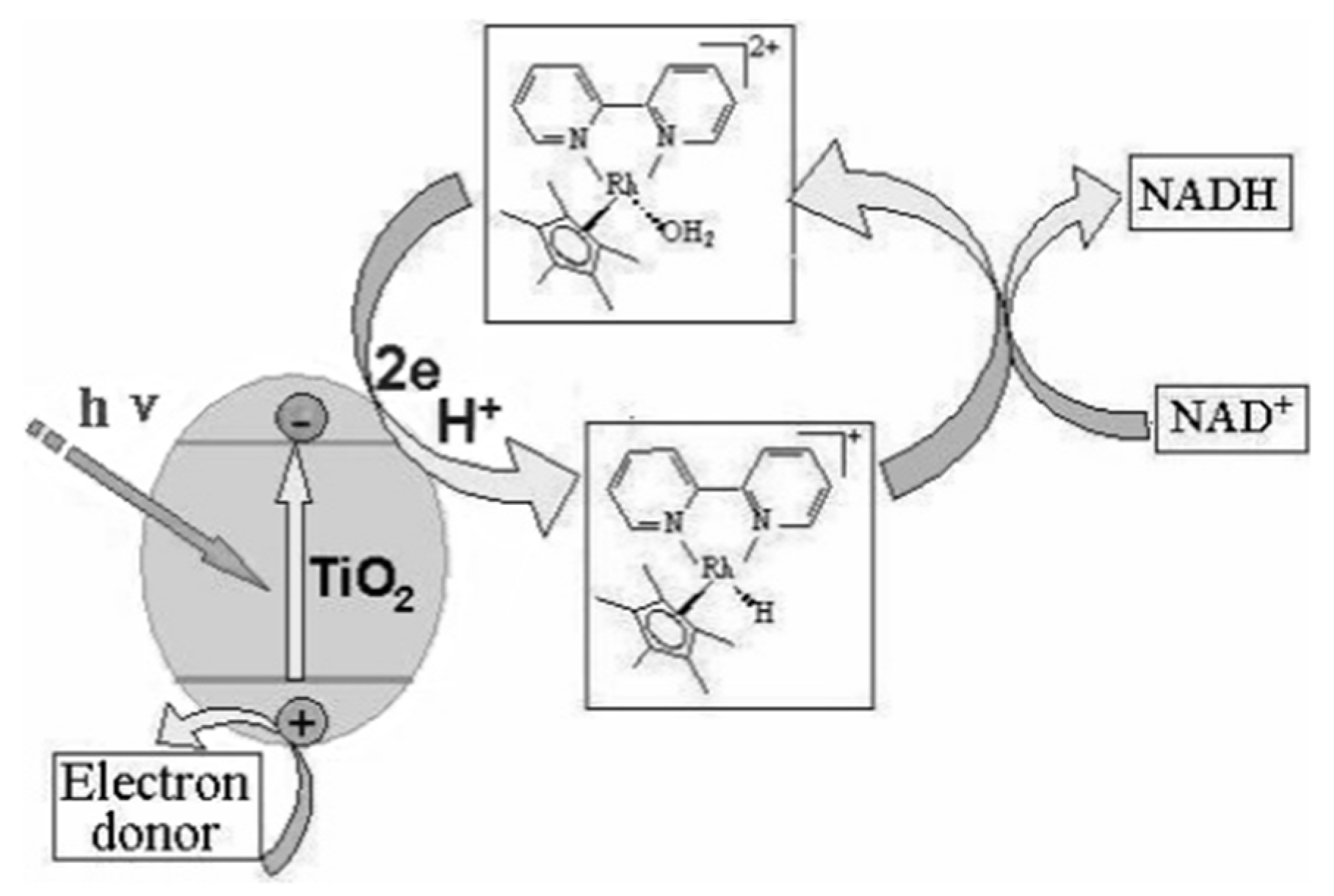 Processes 10 00230 g004