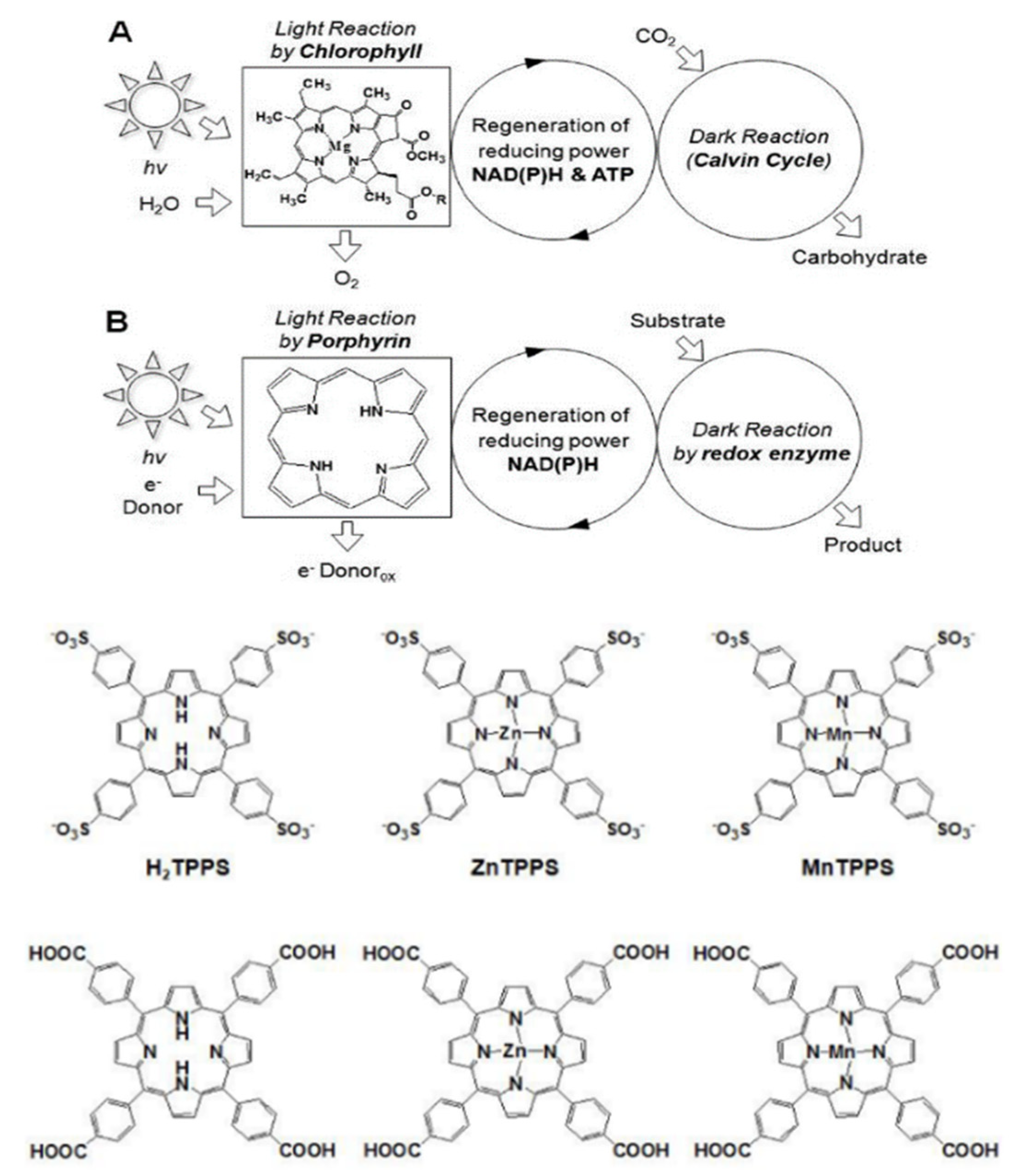 Processes 10 00230 g007