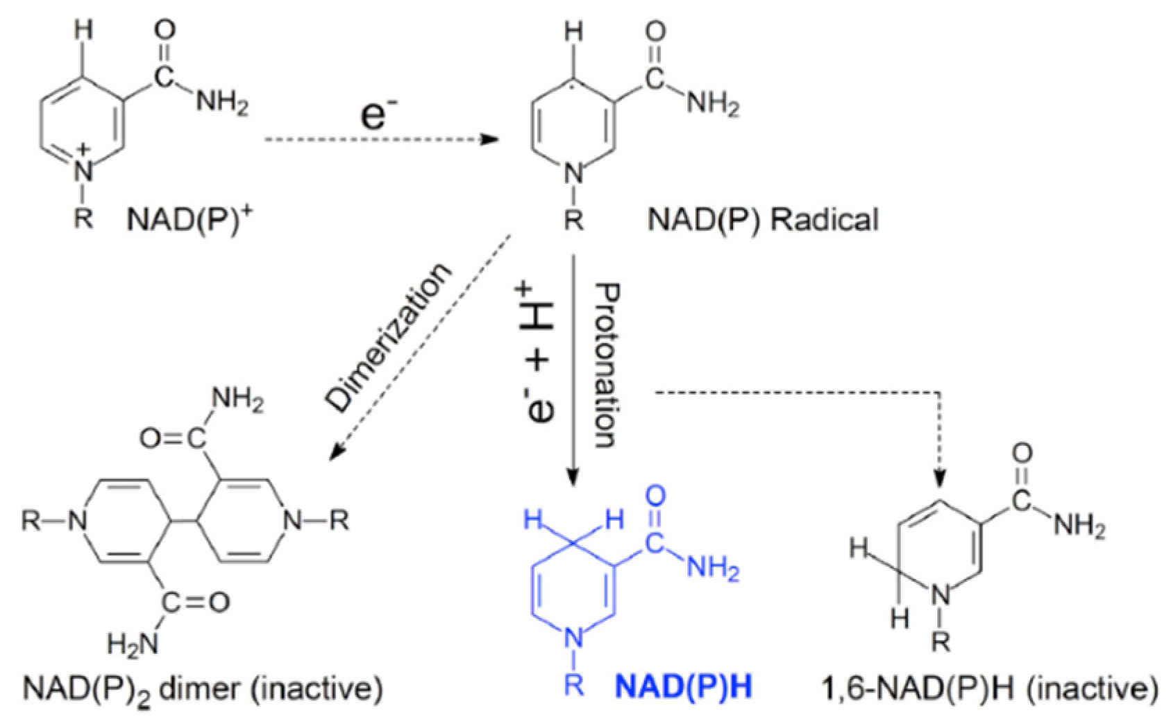 Processes 10 00230 g010