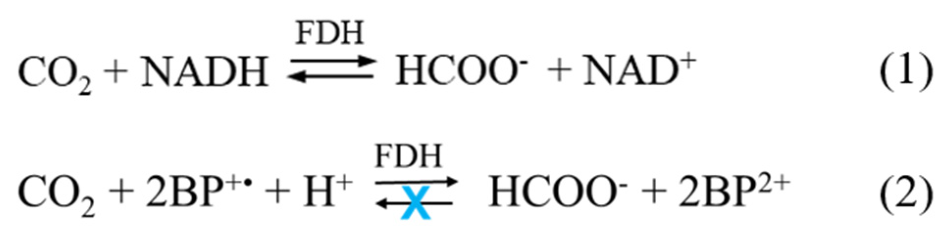 Processes 10 00230 g012