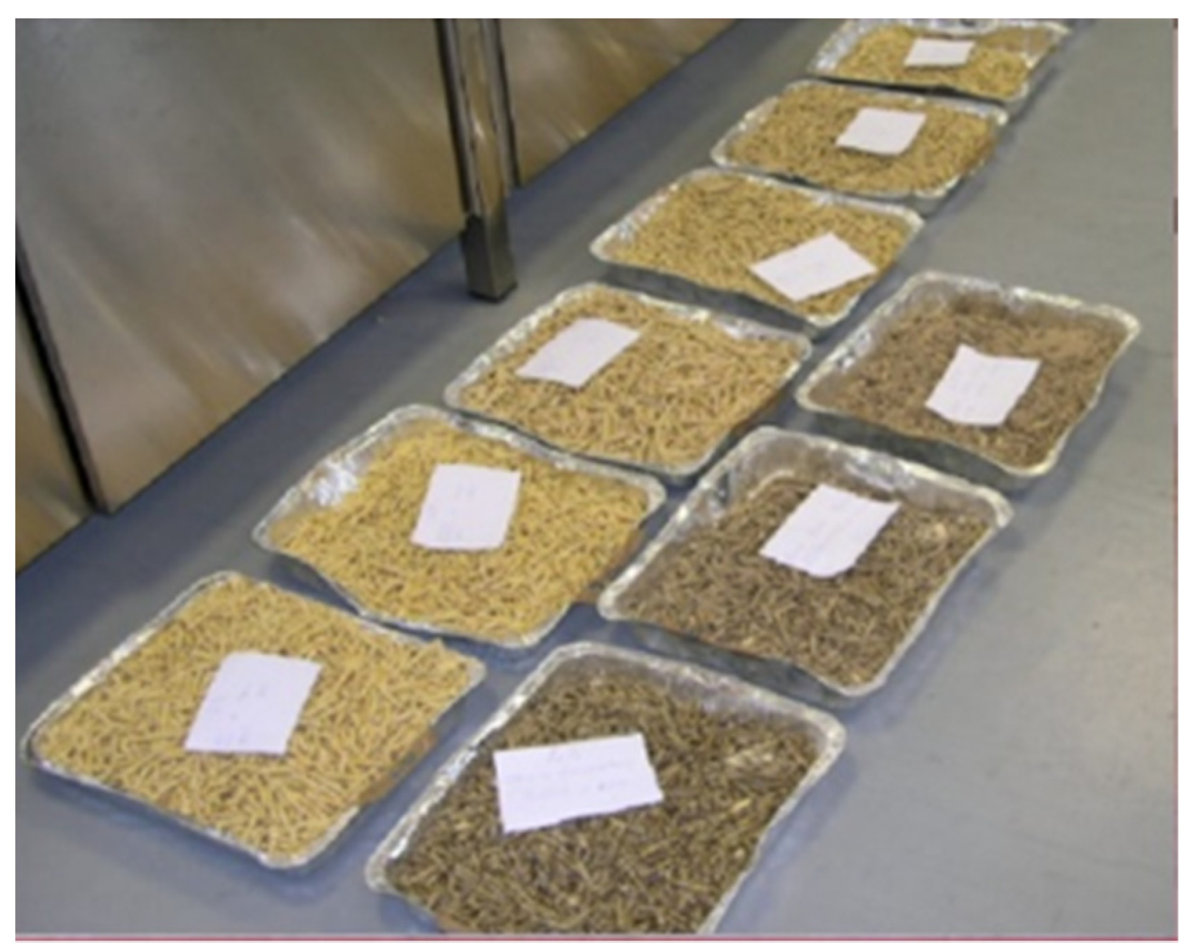 Processes 10 00232 g001 550