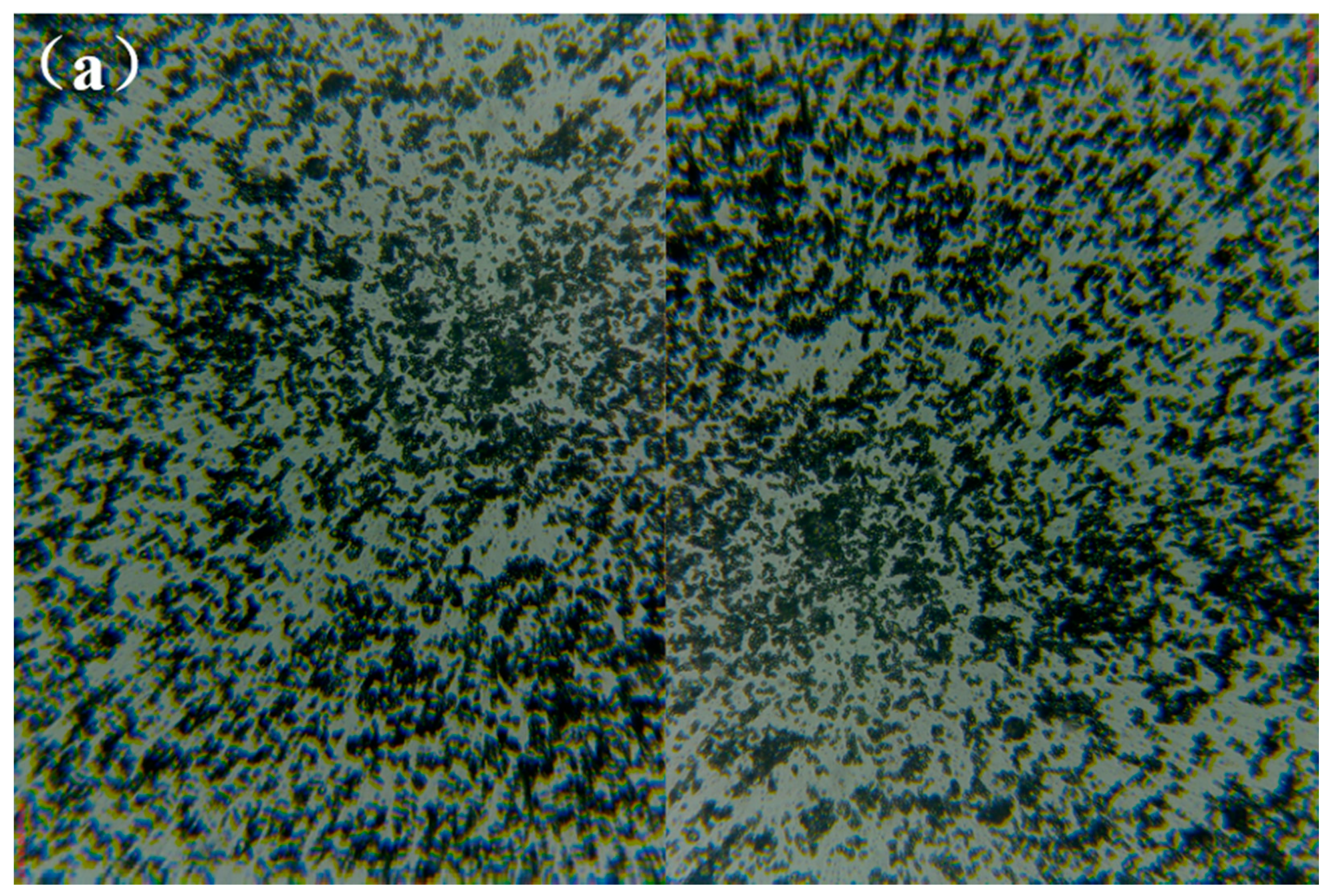 Processes 10 00239 g005a 550