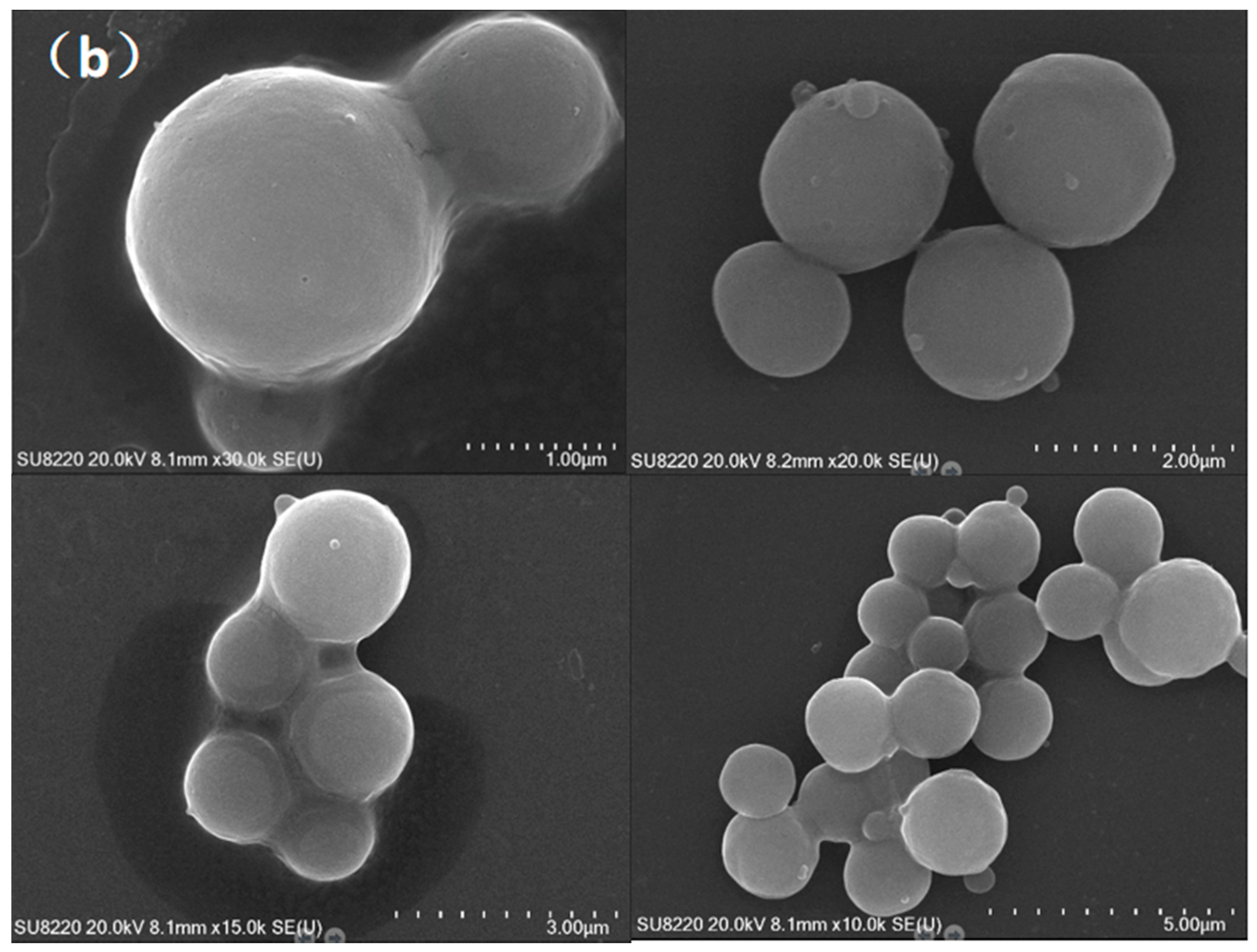 Processes 10 00239 g005b 550