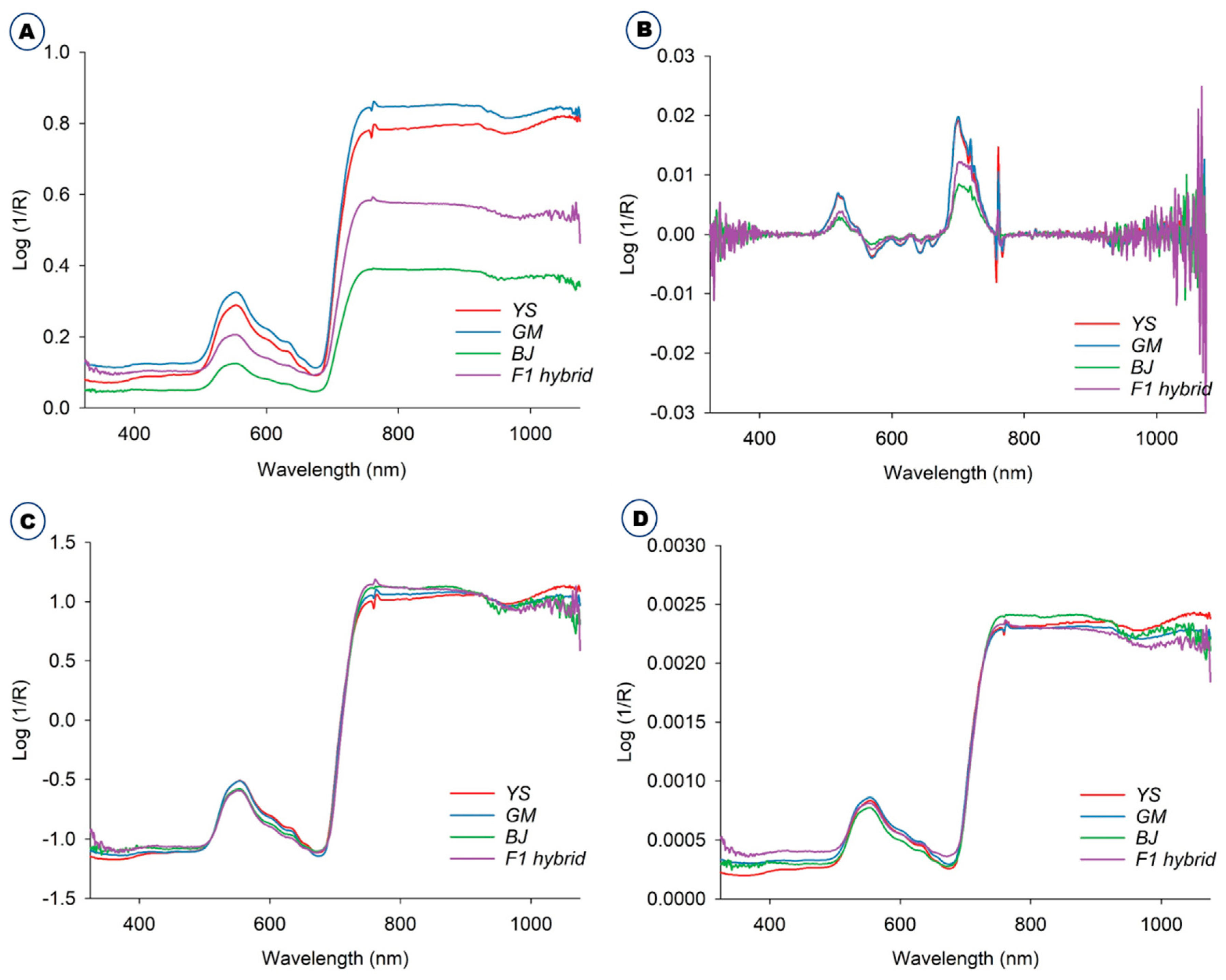 Vis-NIR Spectroscopy and Machine Learning Methods for the Vis-NIR Spectroscopy and Machine Learning Methods for the
